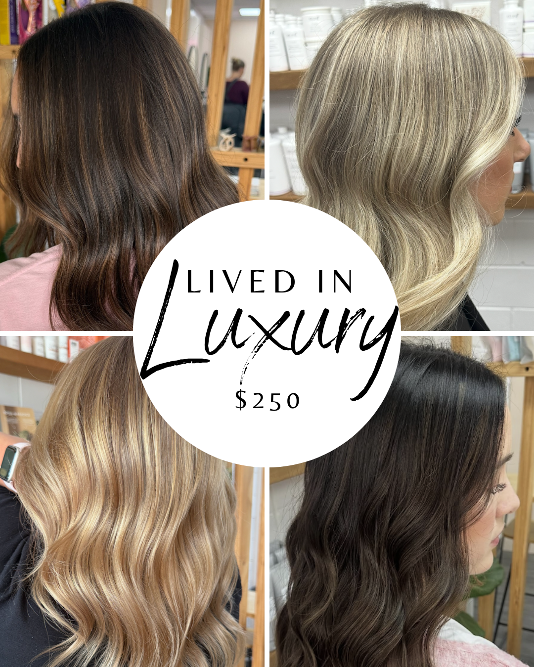 Lived in blonde and brunette pictures taken at salem + co - hairdressers in lower hutt