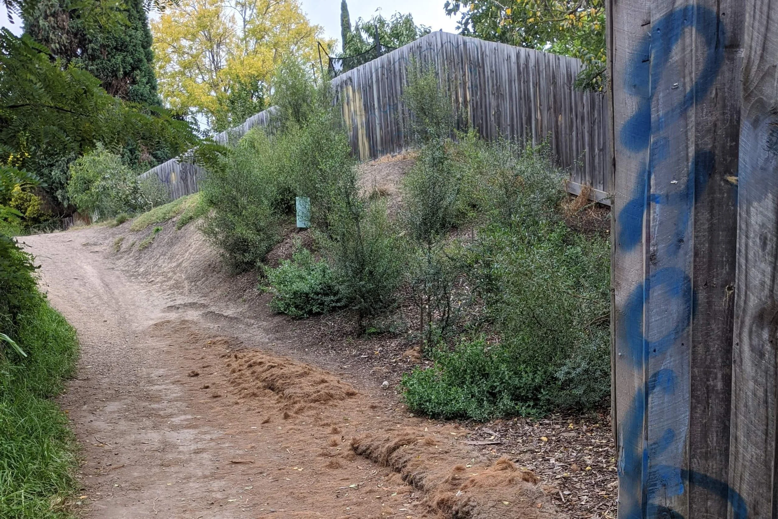 Merri Creek Community Safety Survey hill.jpeg