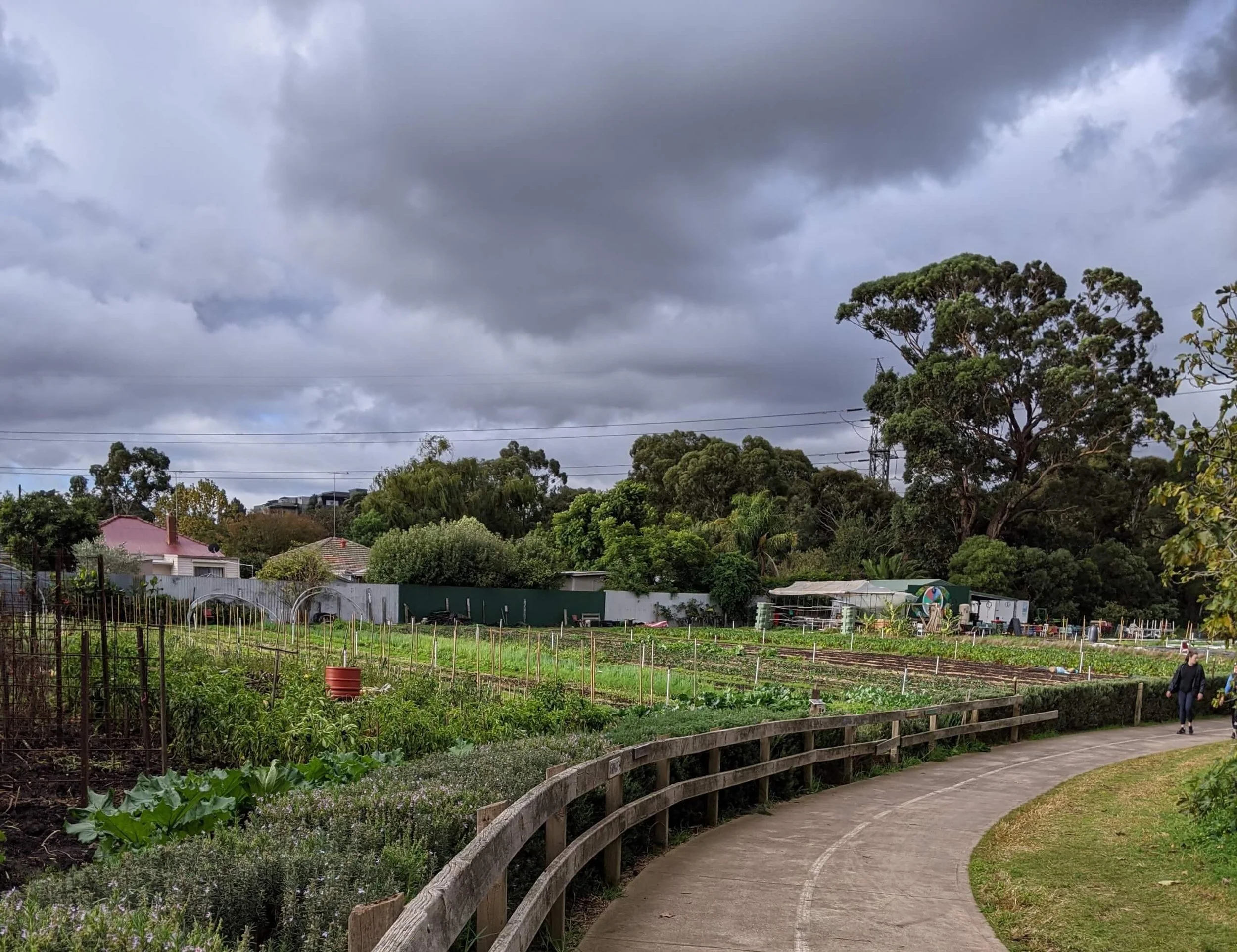 Merri Creek Community Safety Survey Joe's Market Garden.jpeg