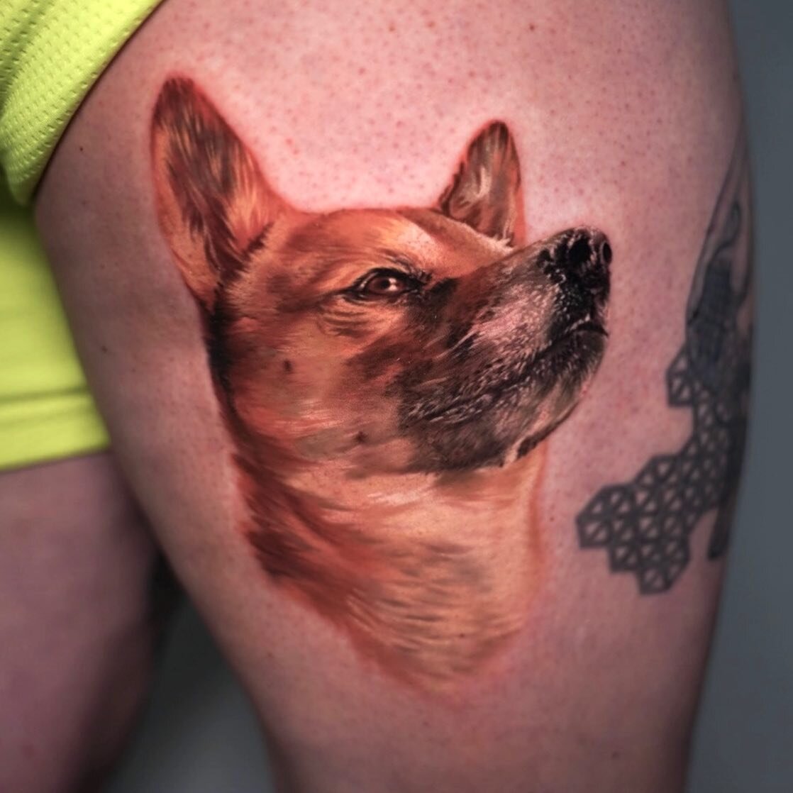 I got to tattoo this beautiful ✨shiba✨ on @ryanetouchedme during my guest spot in Denver @wolfdencustomtattoo ❤️ Thank you so much to everyone at The Den for being so welcoming this week! 💕🌈
|
|
|
|
|
#dogportrait #shibainu #shibainutattoo #colorta