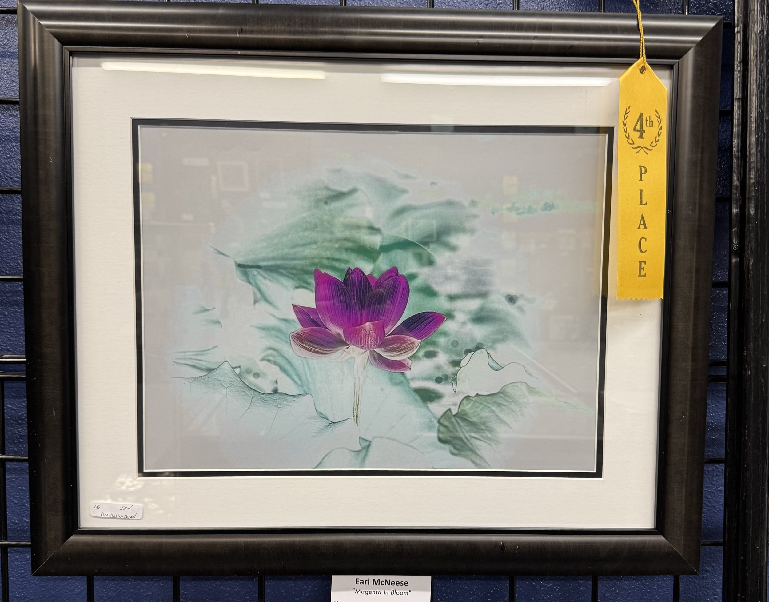 IMG_2259.jpeg
