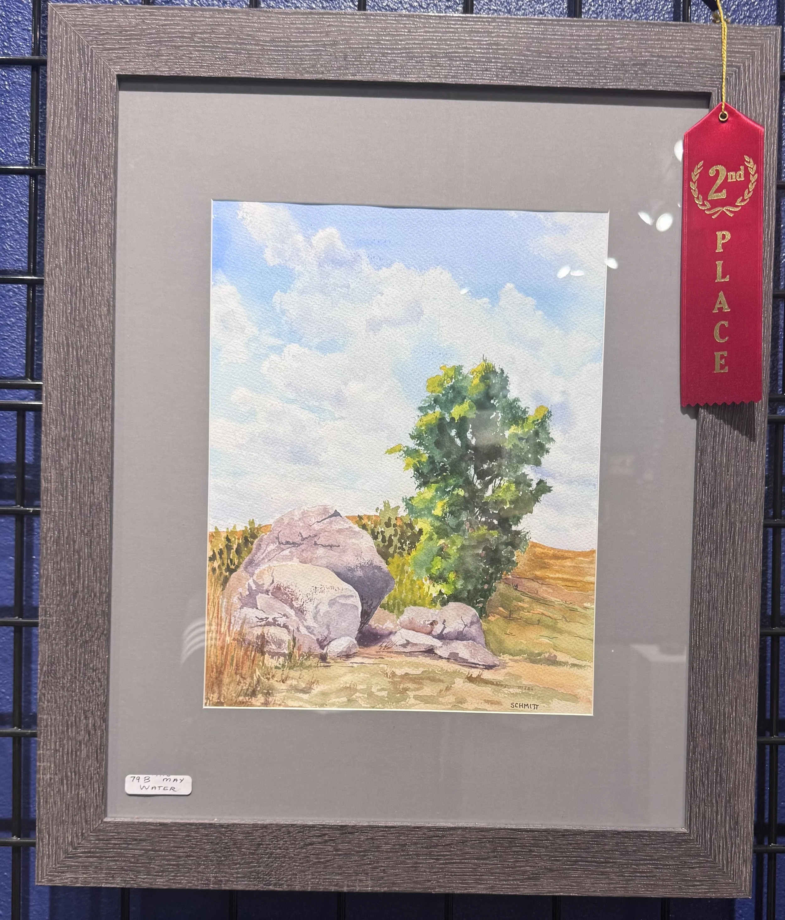 Watercolor landscape painting of a tree, rocks, and a blue sky with clouds, framed in a silver-colored frame, with a red ribbon indicating second place in a contest.