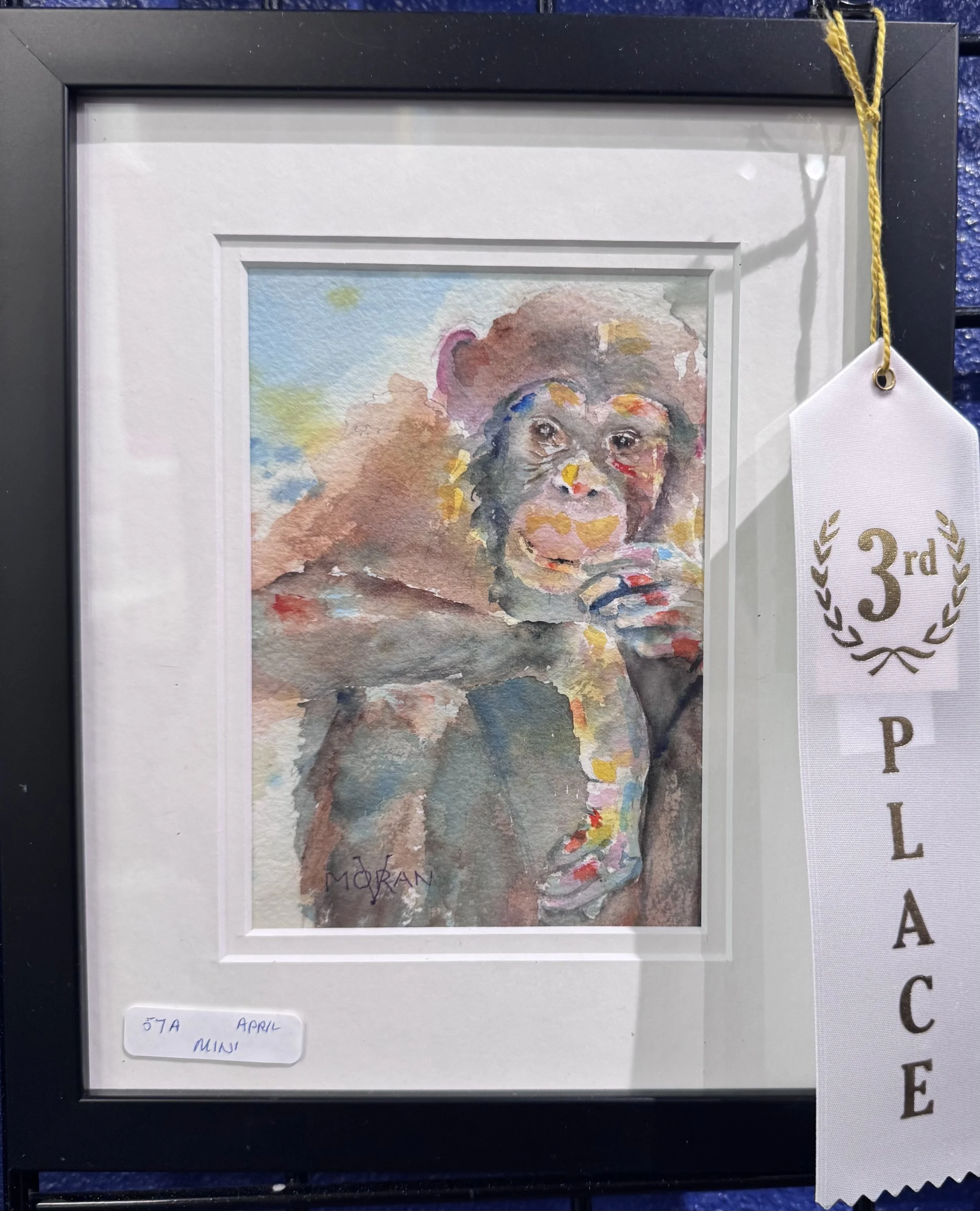 Watercolor painting of a monkey with a colorful background, framed and displayed with a third-place ribbon attached.