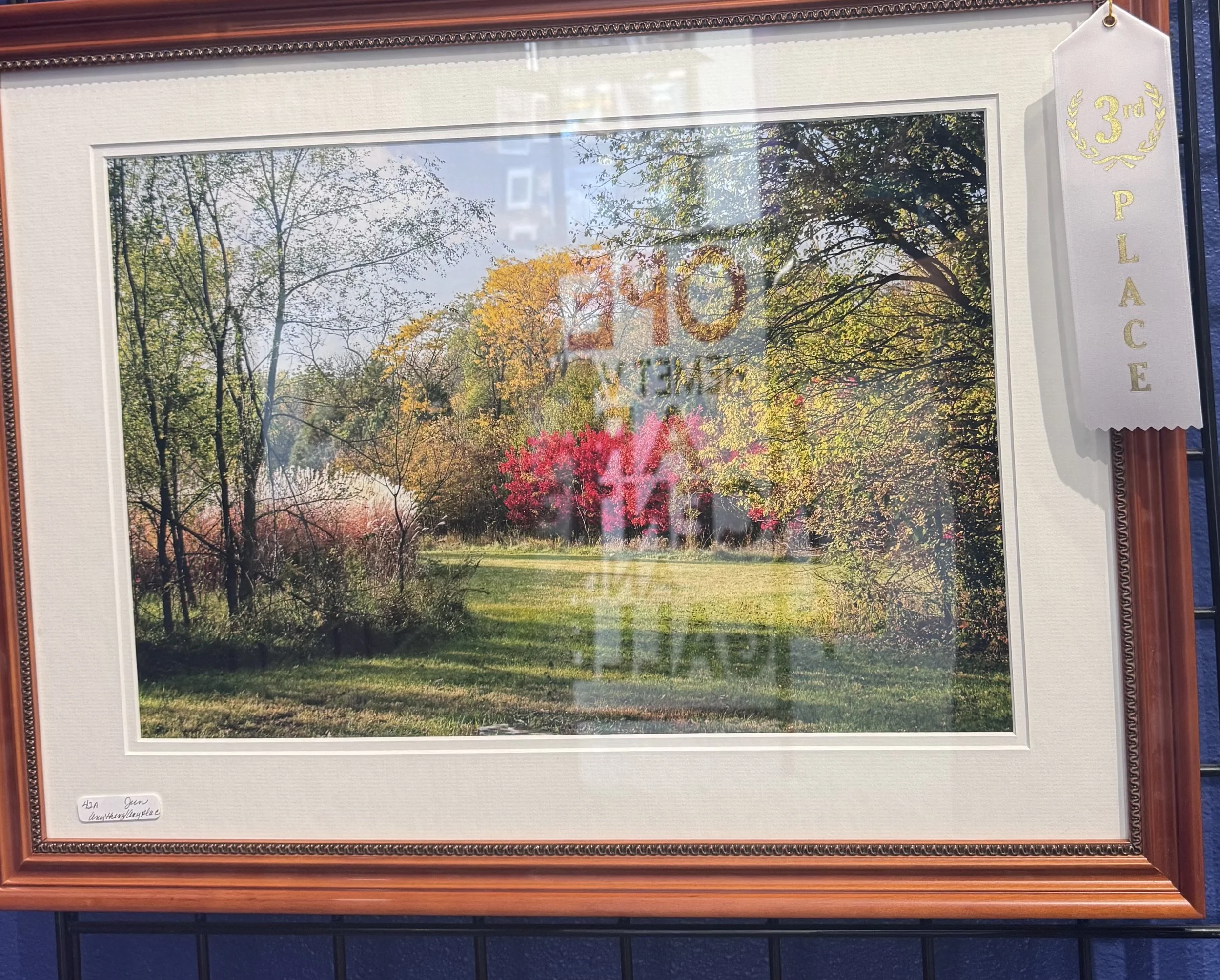 Framed landscape photograph of a park with trees displaying fall foliage, a grassy area, and sunlight filtering through the trees, labeled with a "3rd Place" ribbon.