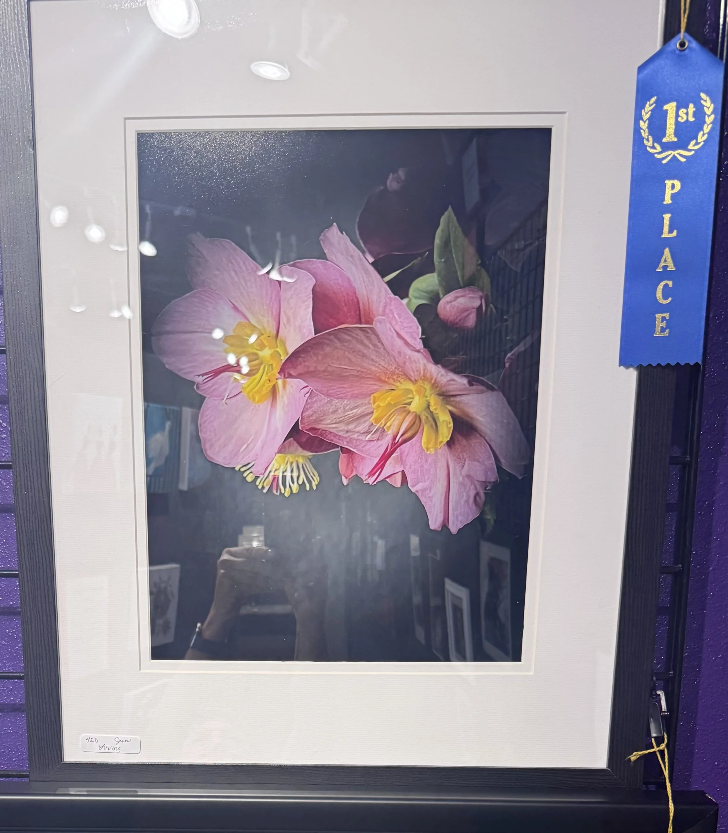 Framed floral photograph featuring pink and yellow flowers with green leaves, labeled with a small note reading '420 Our Spring,' with a blue ribbon marked '1st Place' attached to the right side of the frame.