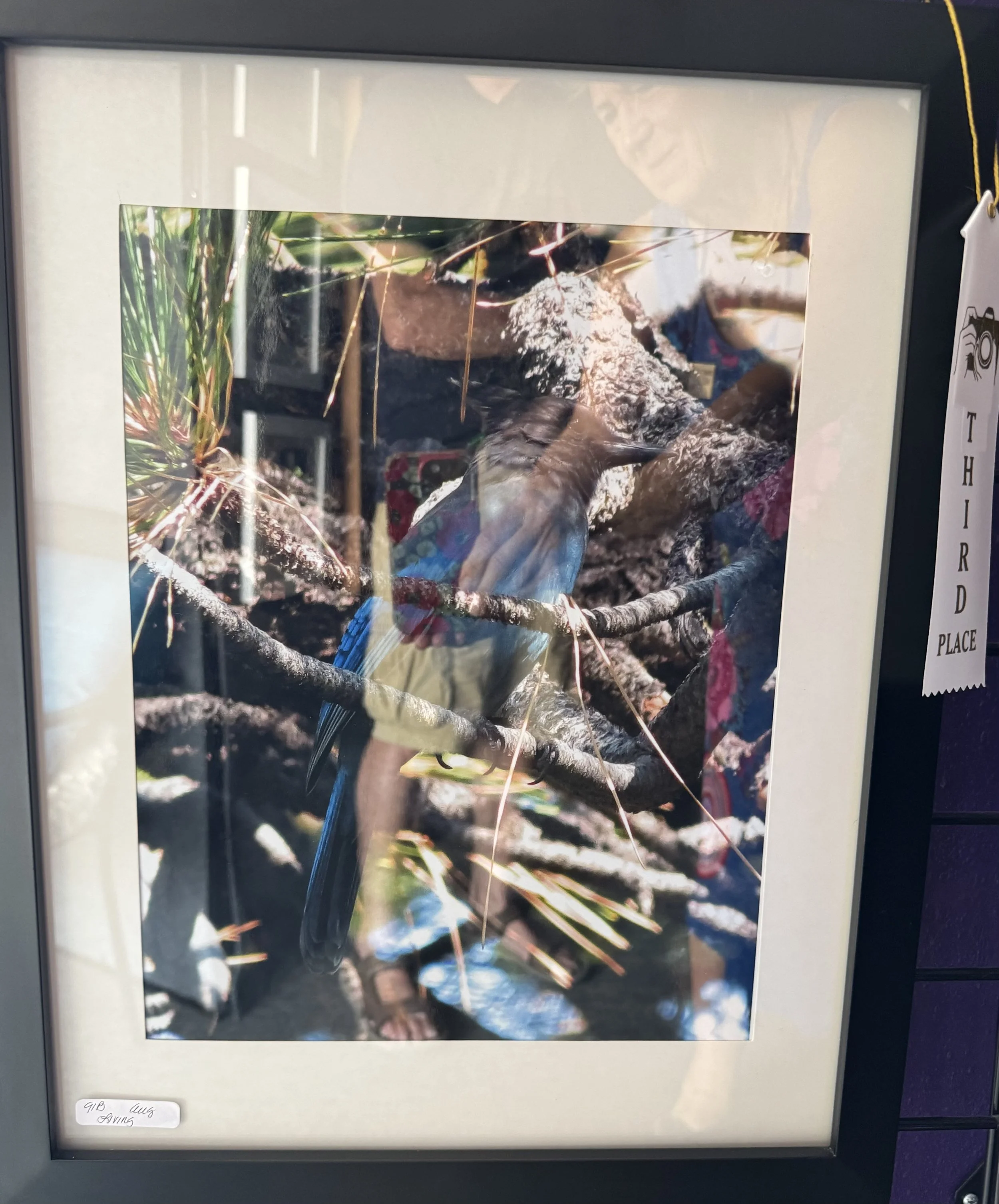 IMG_2630.jpeg