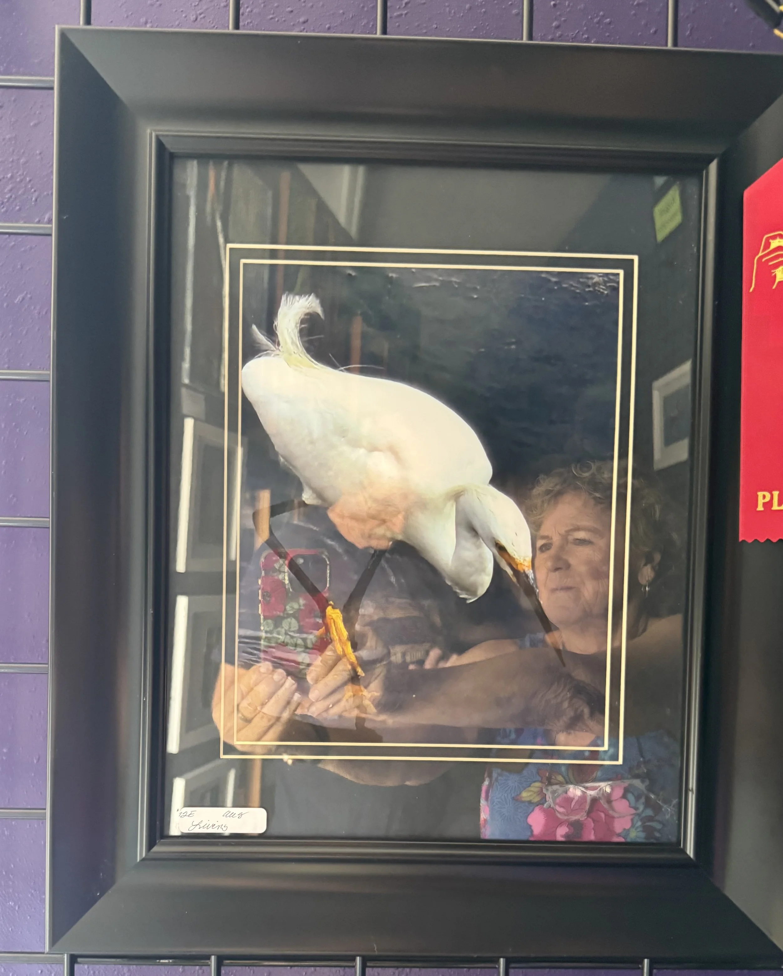 IMG_2629.jpeg