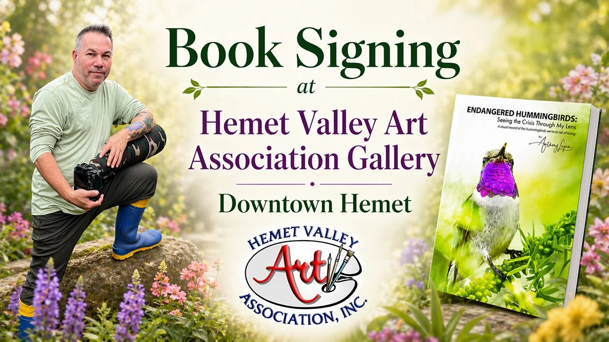 Hummingbird Book Signing with Anthony Lujan