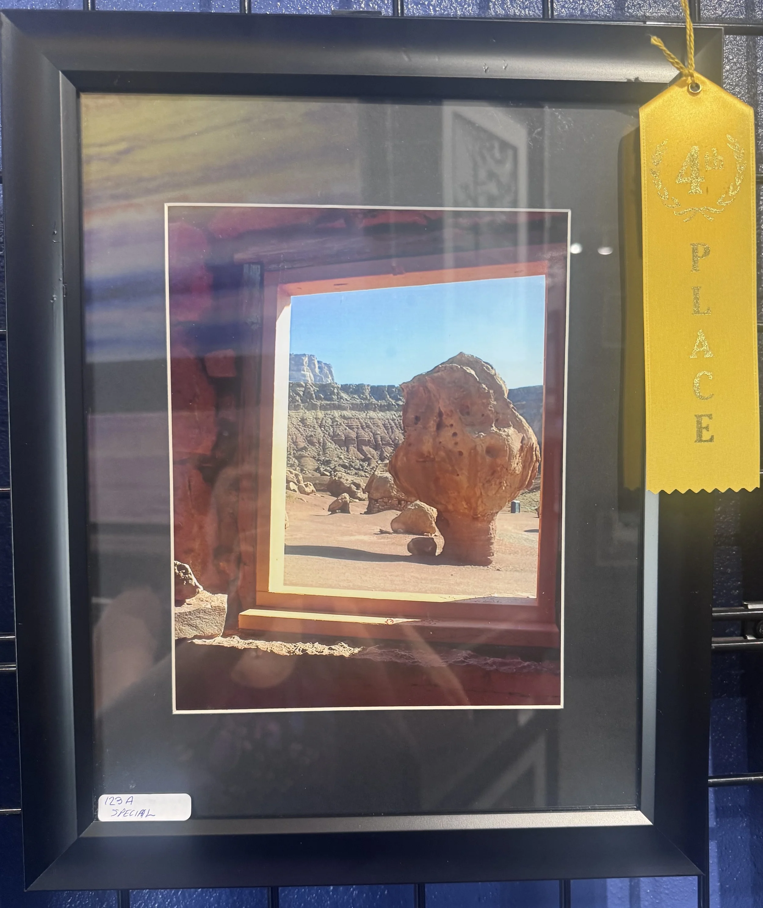 IMG_5016.jpeg