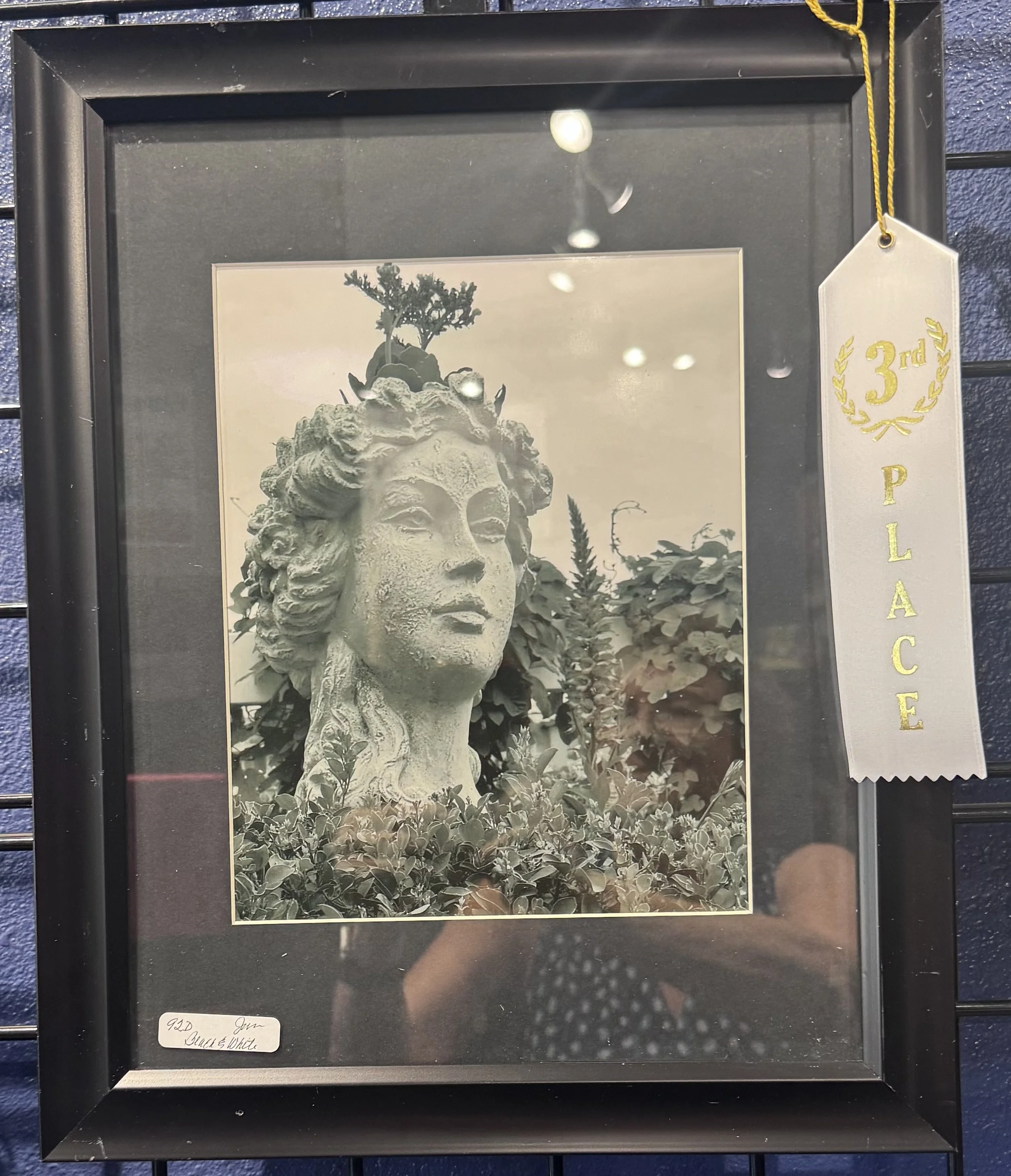 A framed black and white photograph of a woman’s face composed of stone or coral, with lush foliage in the background. A ribbon with gold lettering indicating third place is attached to the right side of the frame.