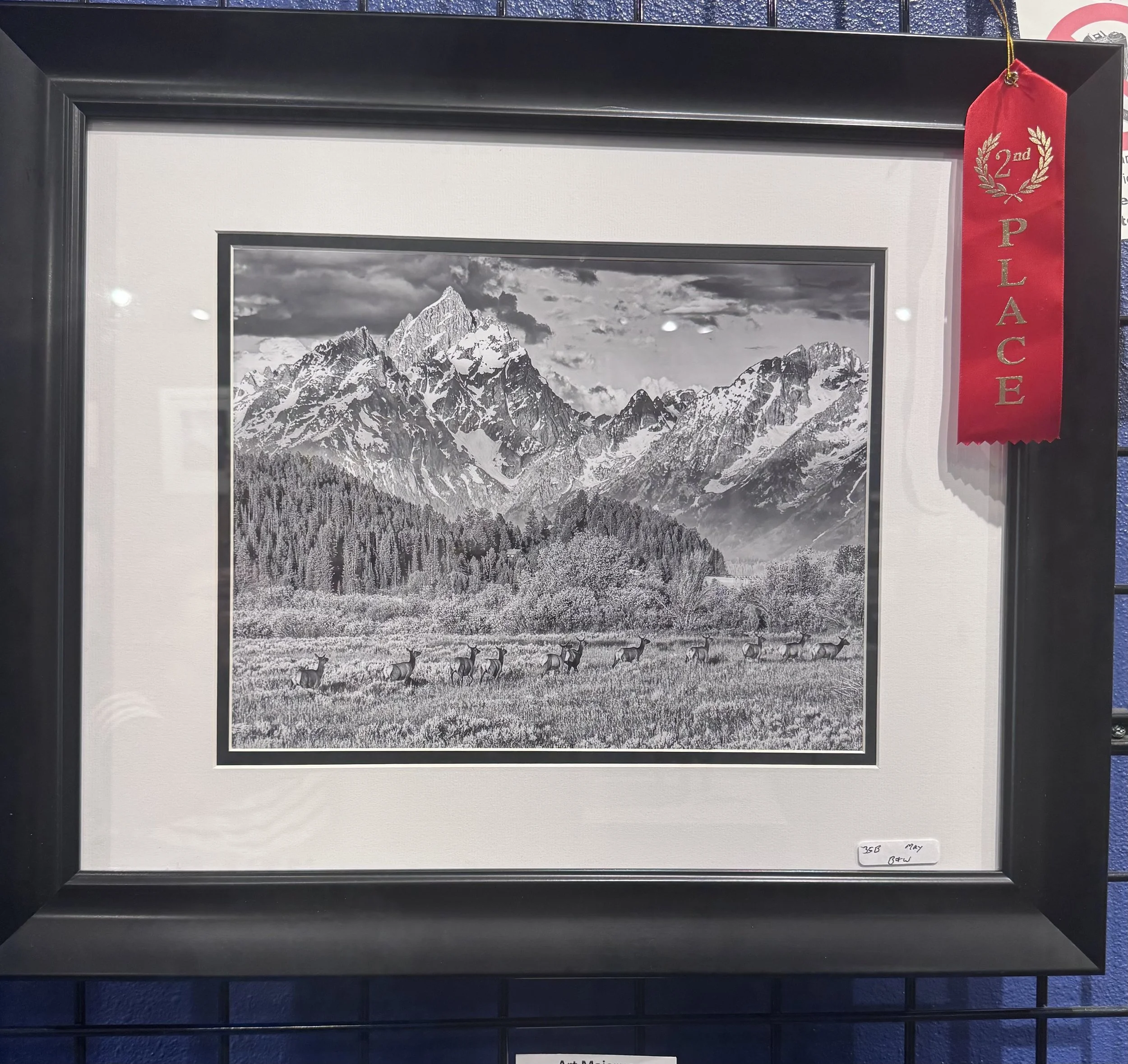 Black and white framed photograph of snow-capped mountains with dramatic clouds in the sky. There are trees in the foreground and mountains with rugged peaks in the background. A red ribbon with the words "2nd Place" is attached to the frame on the r