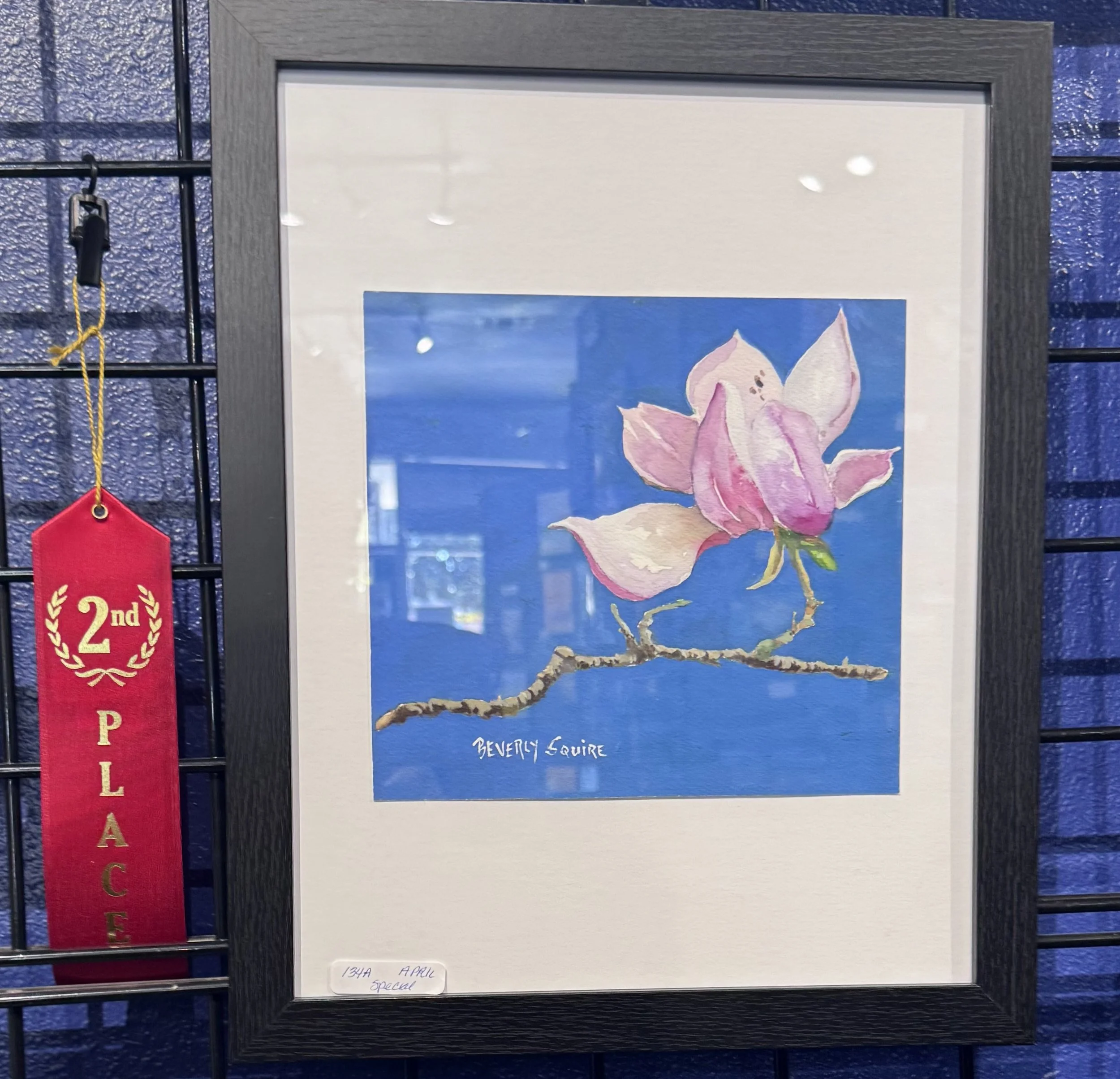 A framed watercolor painting of a pink magnolia flower on a branch set against a blue background, signed 'Beverly Squire'. A red ribbon with gold text reading '2nd Place' hangs beside the frame.