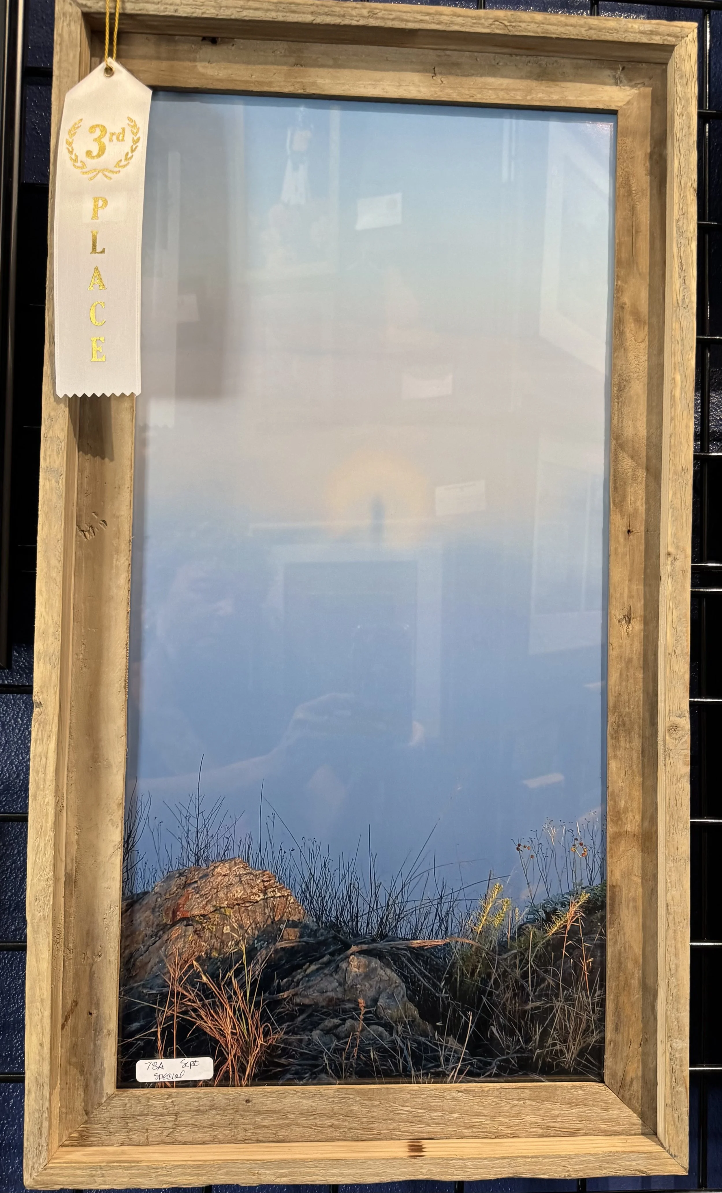 IMG_2779.jpeg