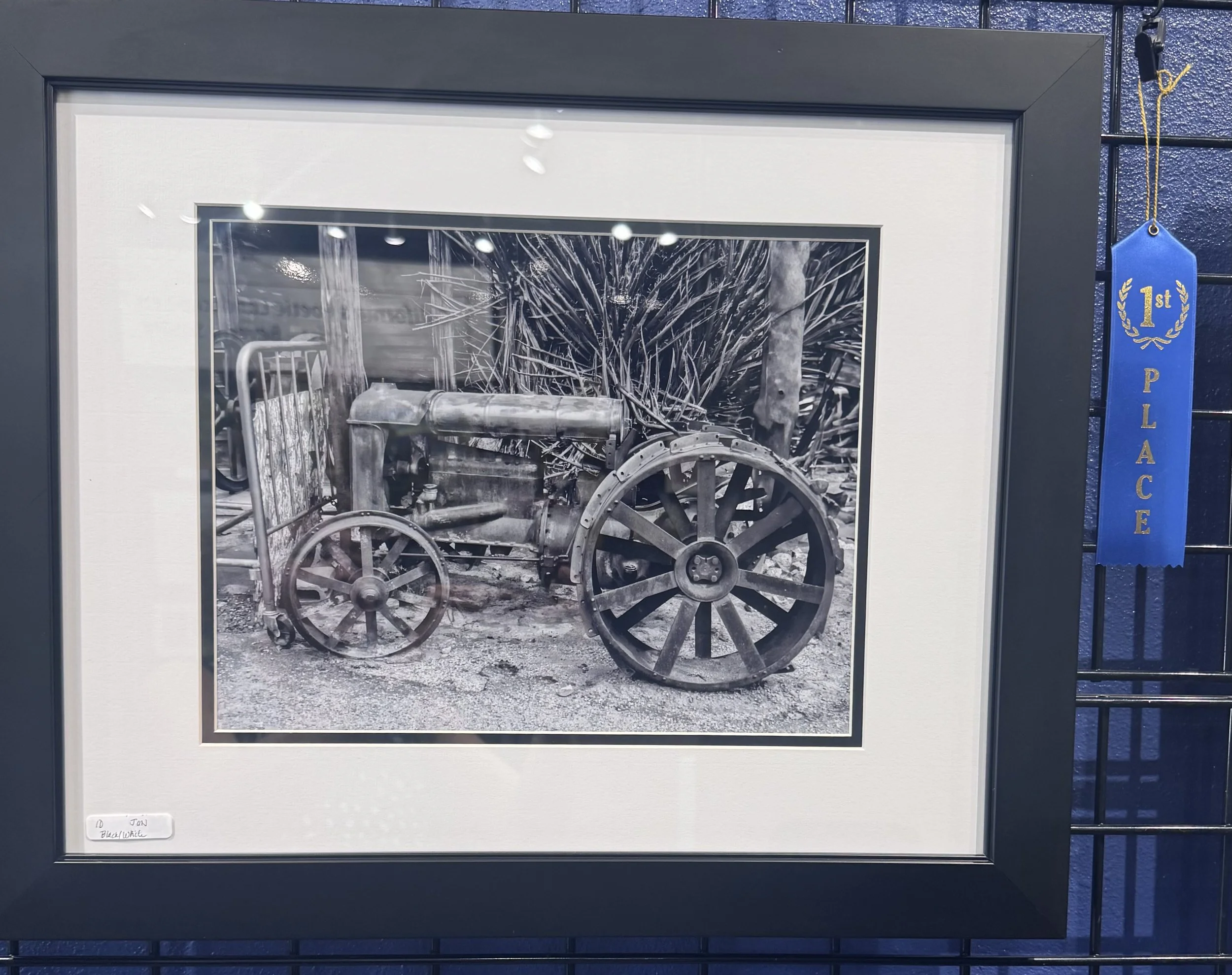 Black and white photograph of an old wheelchair with large back wheels, placed outdoors amidst trees and tall grass.