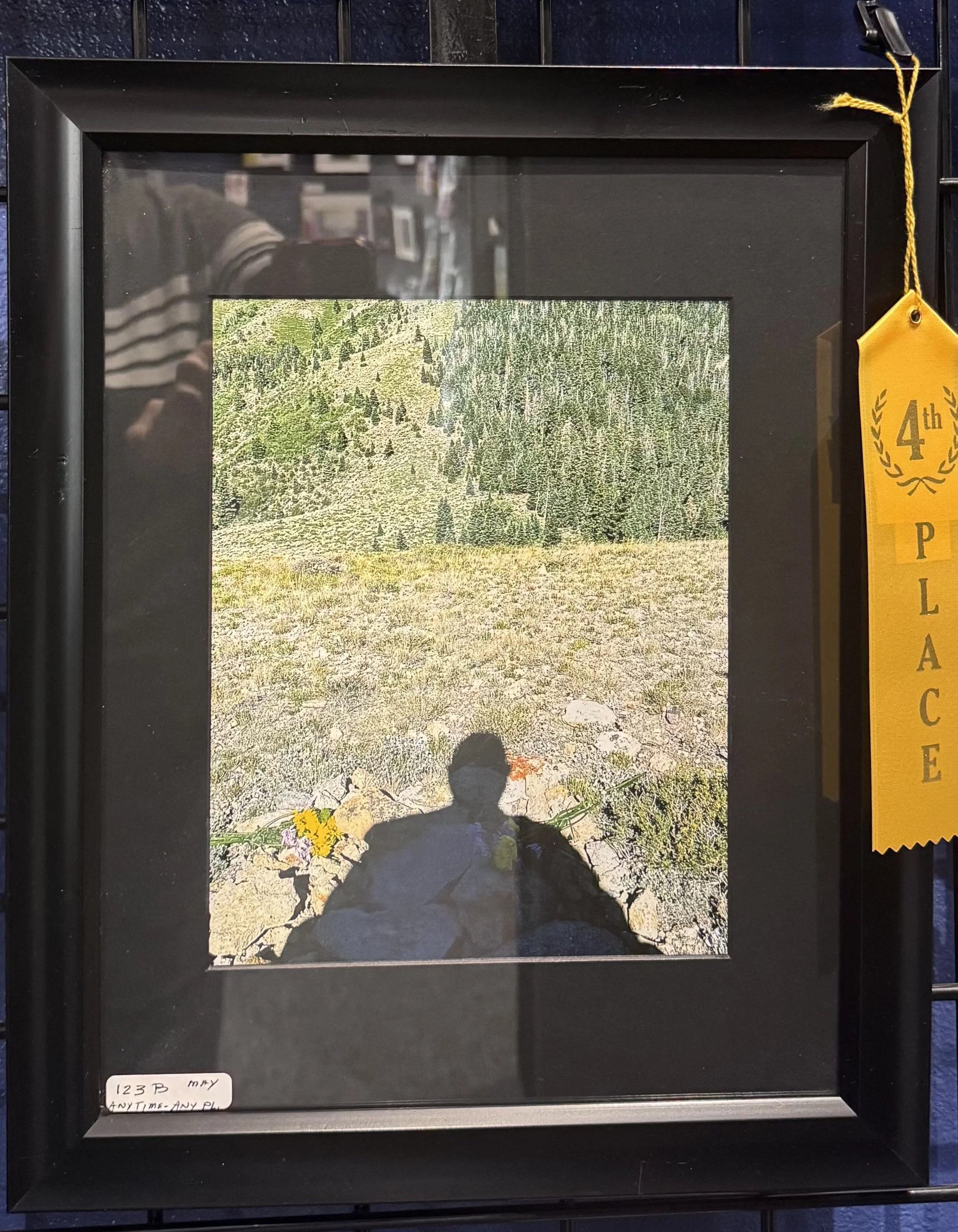 A framed photograph of a mountainous landscape with green trees and a grassy area in the foreground. The person's shadow and some flowers are visible at the bottom of the photo.