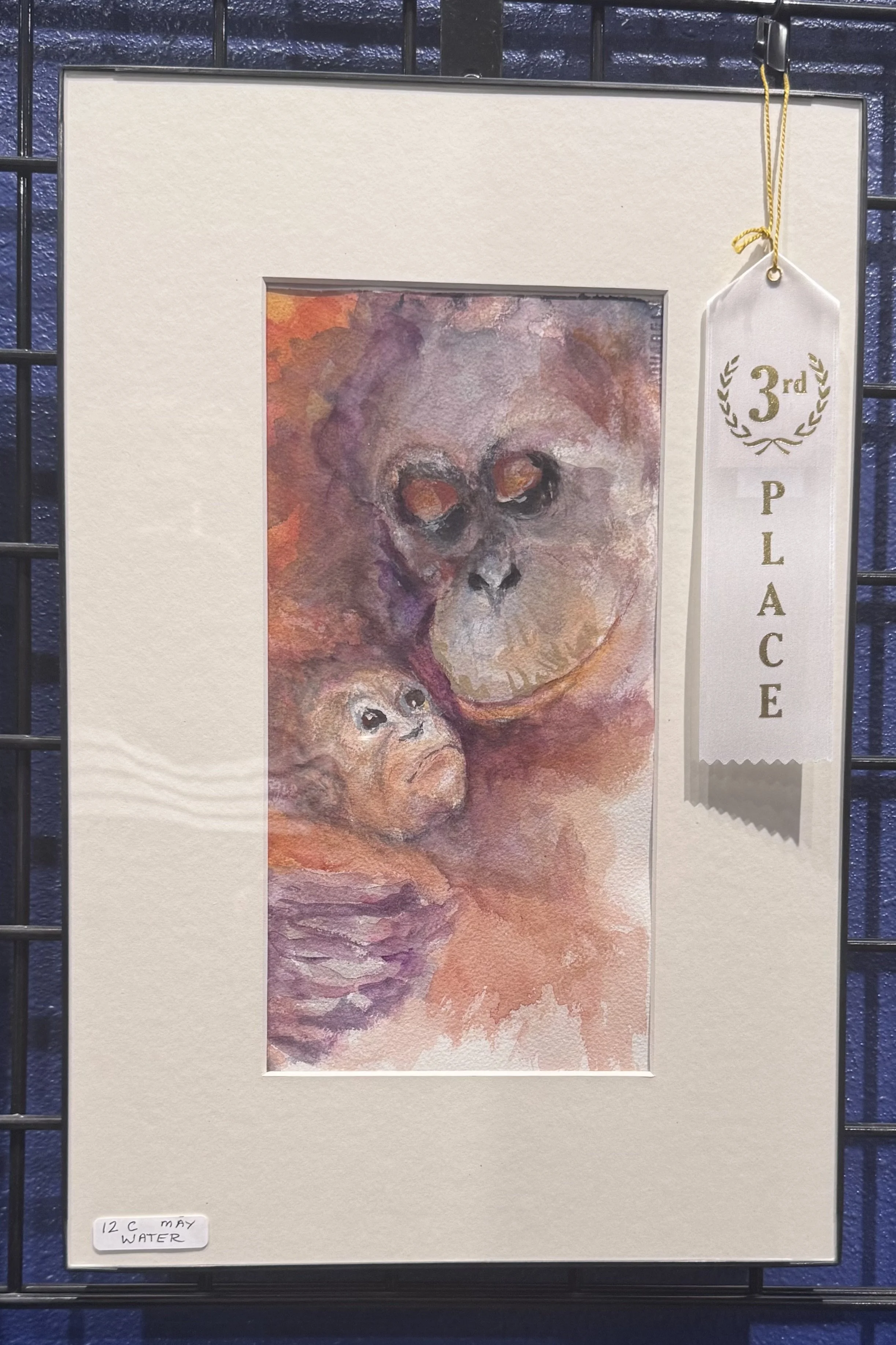 Watercolor painting of a baby orangutan with its mother, with soft and warm colors. The painting is framed and labeled '12 C May Water' with a ribbon indicating third place in a competition.