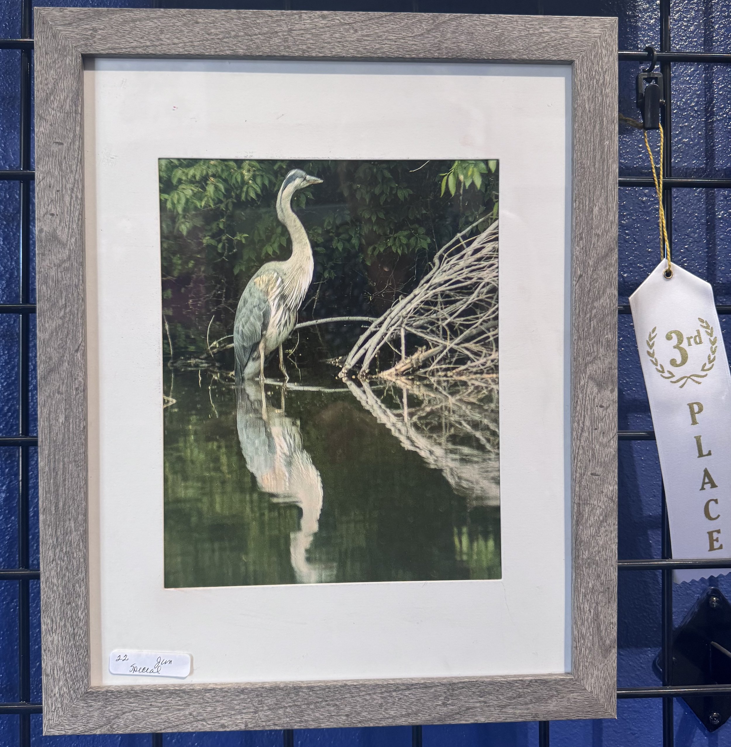 Photograph of a framed picture of a heron standing on a branch in a pond surrounded by green foliage. The frame is wooden and is hanging on a blue textured wall with a white ribbon attached to the right side with a "3rd place" ribbon.