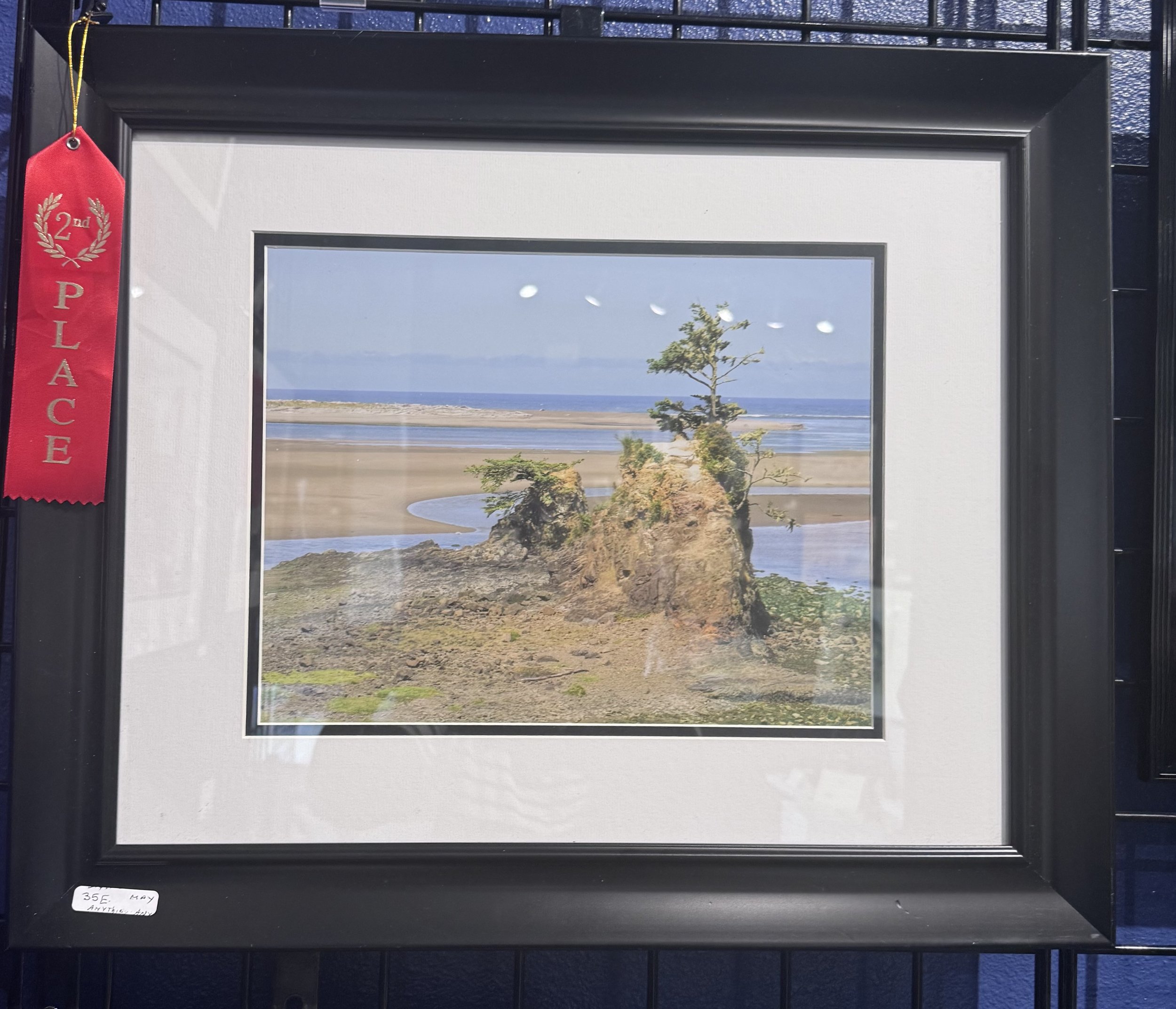 Framed landscape photograph of a coastal scene with a small tree and rocky outcroppings, reflecting on water under a blue sky, displayed with a black frame. A red ribbon on the top left corner indicates second place.