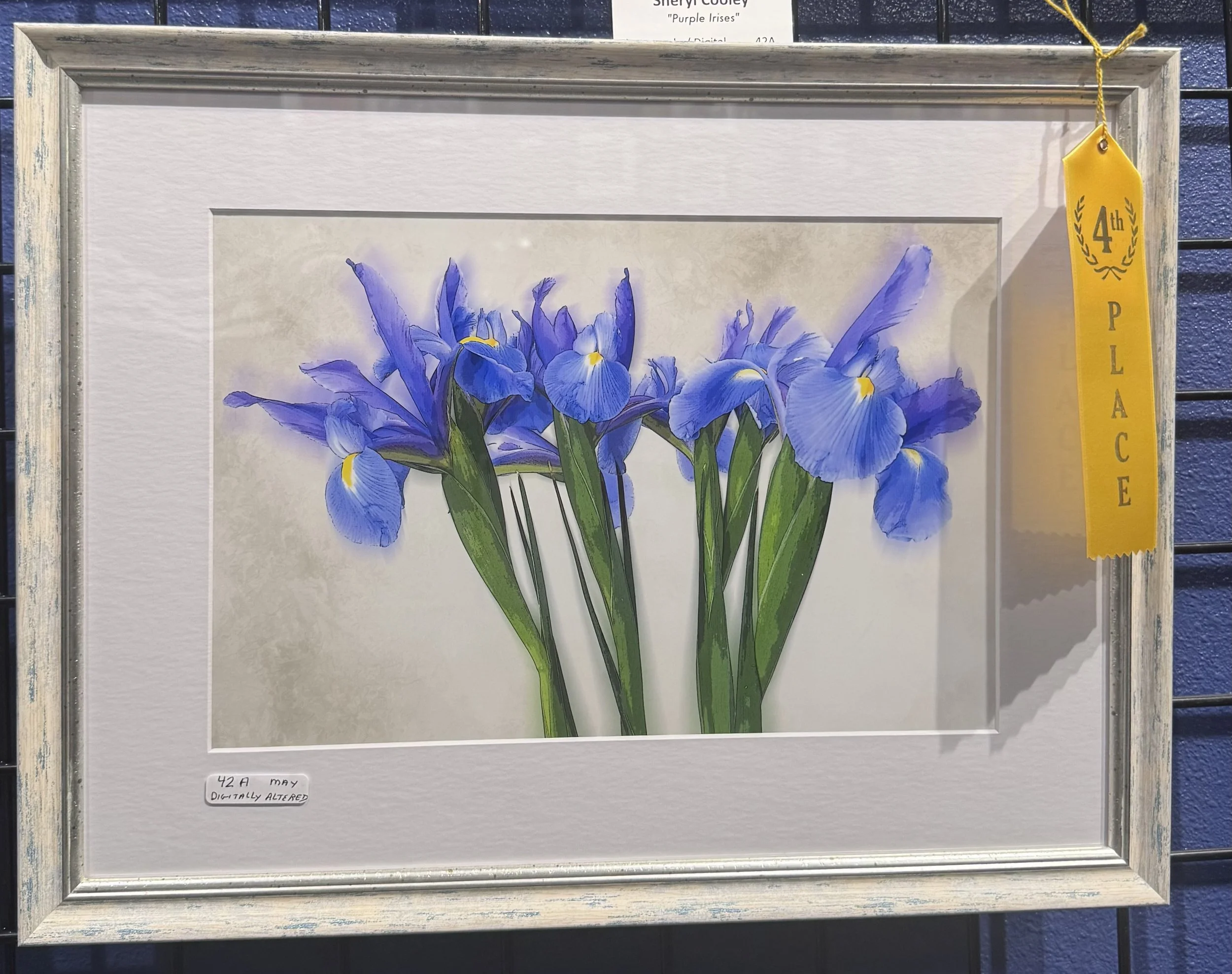 A painting of blue iris flowers with yellow accents on a white background, framed with a distressed white and blue wooden frame. A yellow ribbon shaped like a bookmark hangs from the top right corner, indicating the artwork received 4th place. A smal