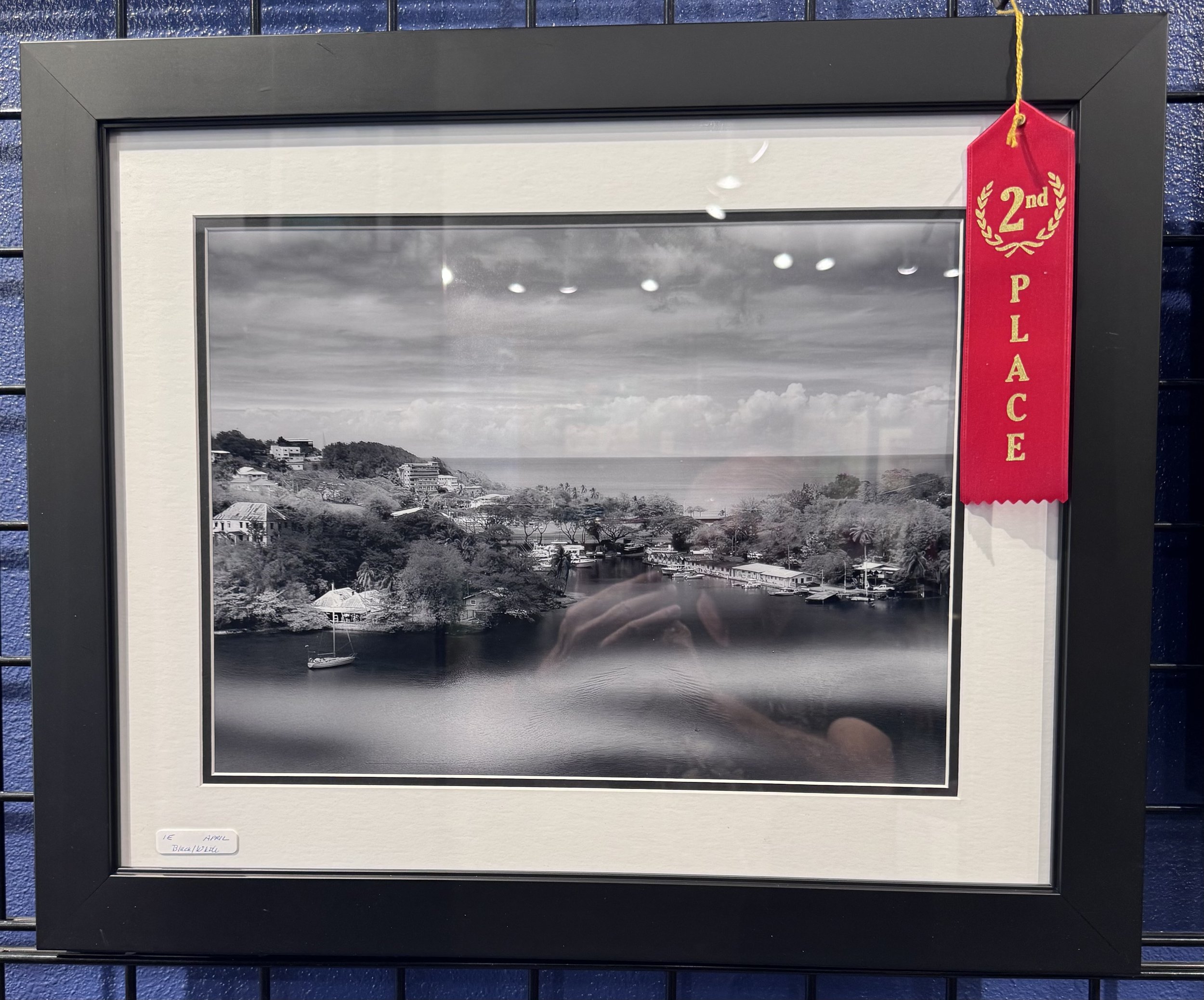 A framed black and white landscape photograph of a coastal area with trees, buildings, boats, and a cloudy sky, displayed on a wall with a red ribbon indicating second place.