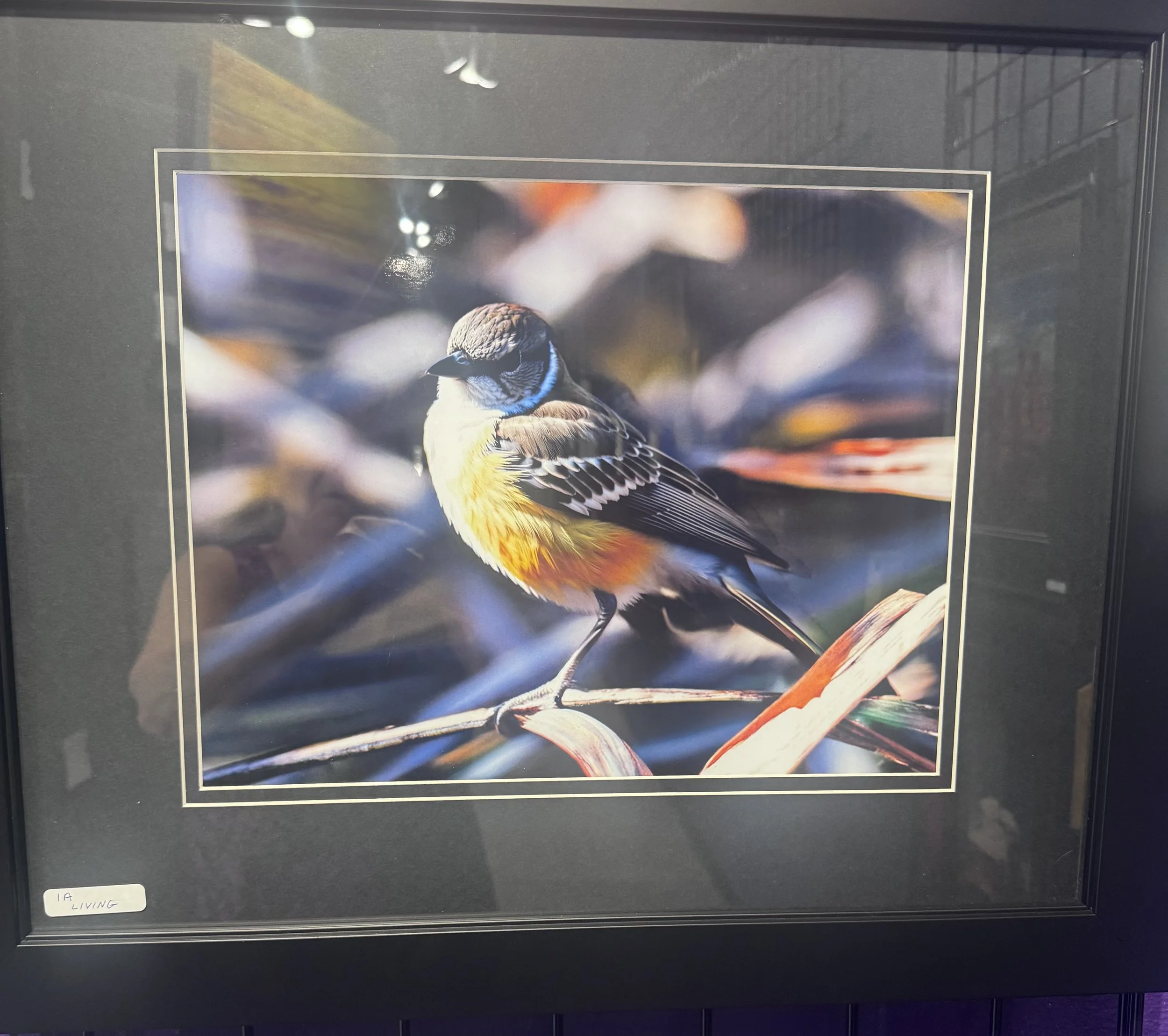 IMG_5021.jpeg