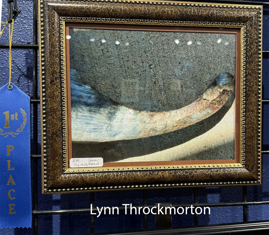 lynn.jpg