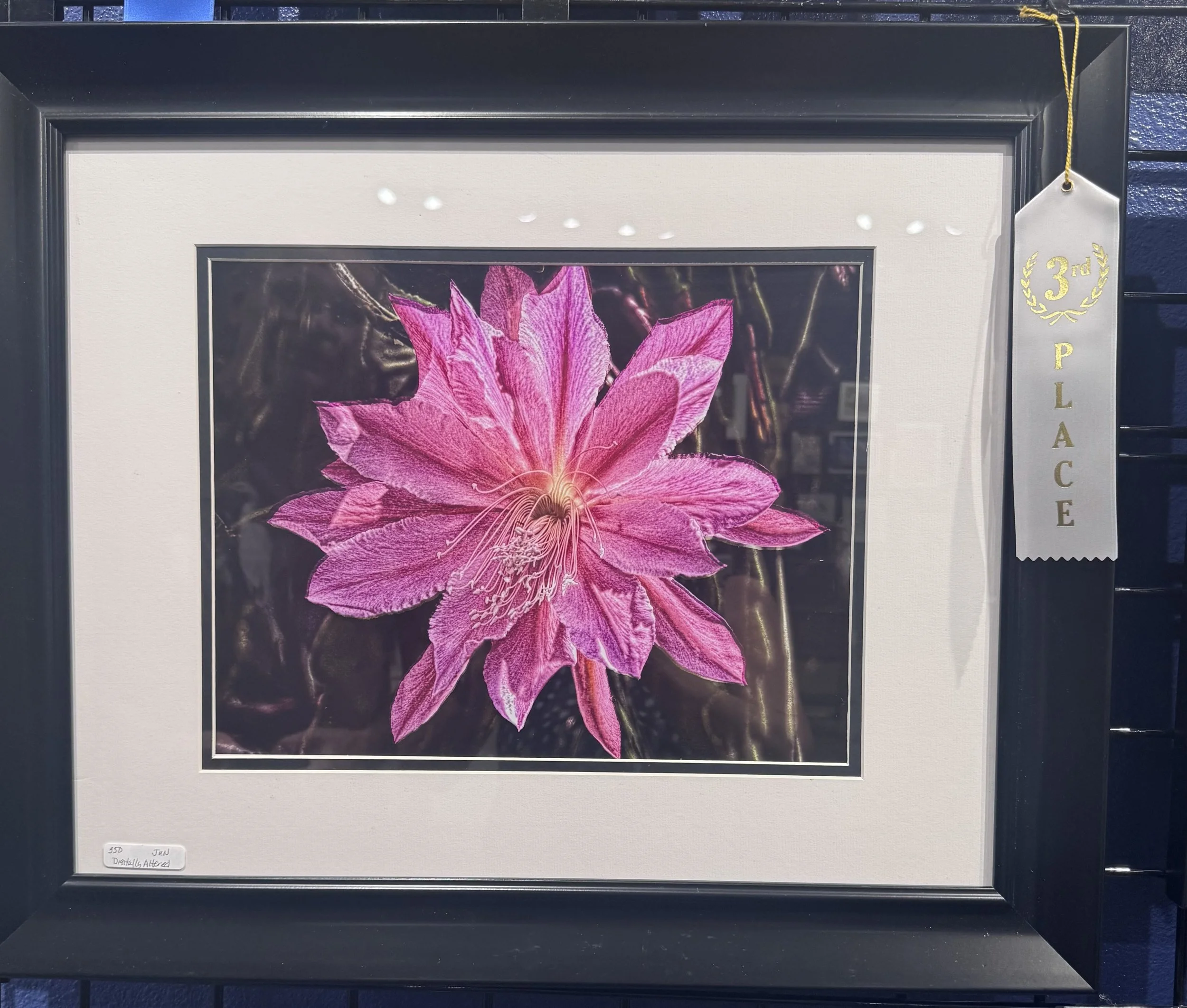 Framed photograph of a pink flower with multiple petals displayed on a dark background. The frame has a white mat border and a black outer border. A small white label on the bottom left corner of the frame reads '350 - July Details Affer' and a gold-