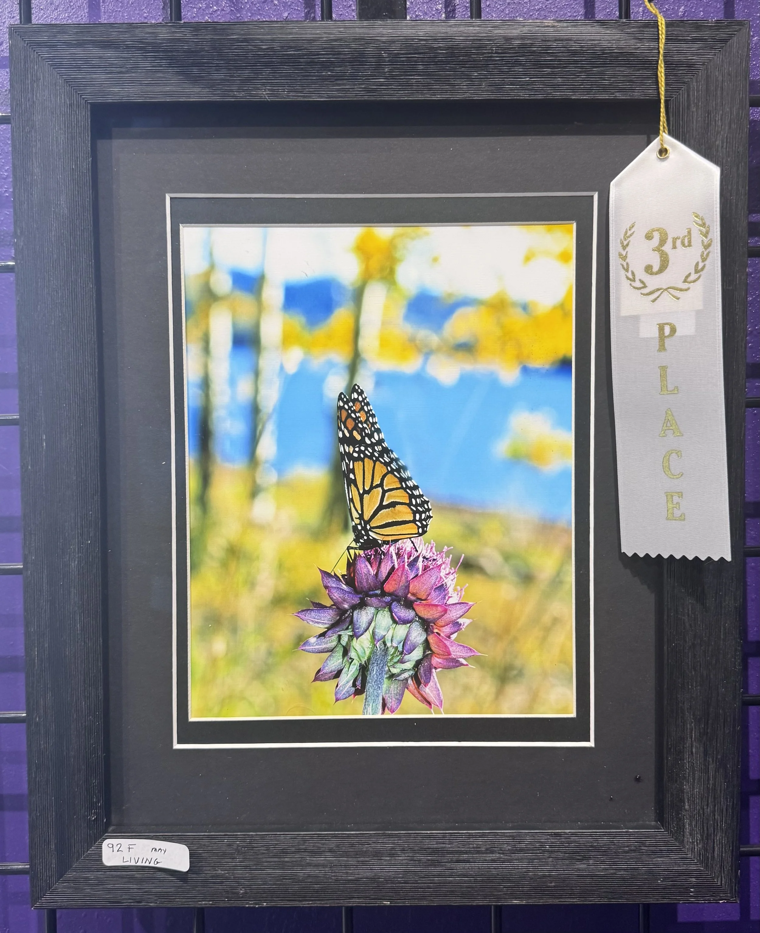 A framed picture of a monarch butterfly perched on a colorful flower with a blurred background of blue, yellow, and green. Attached to the top right corner of the frame is a white ribbon with gold lettering and design that reads "3rd PLACE."