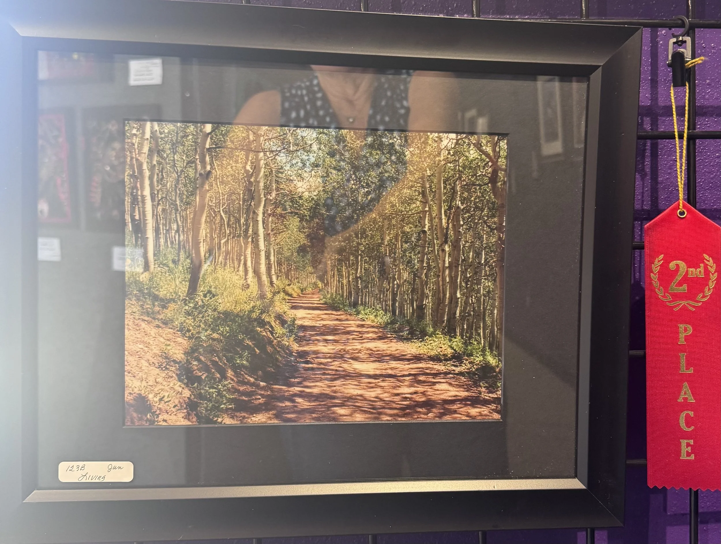 A framed poster of a forest trail lined with trees and green foliage, with sunlight filtering through the branches.