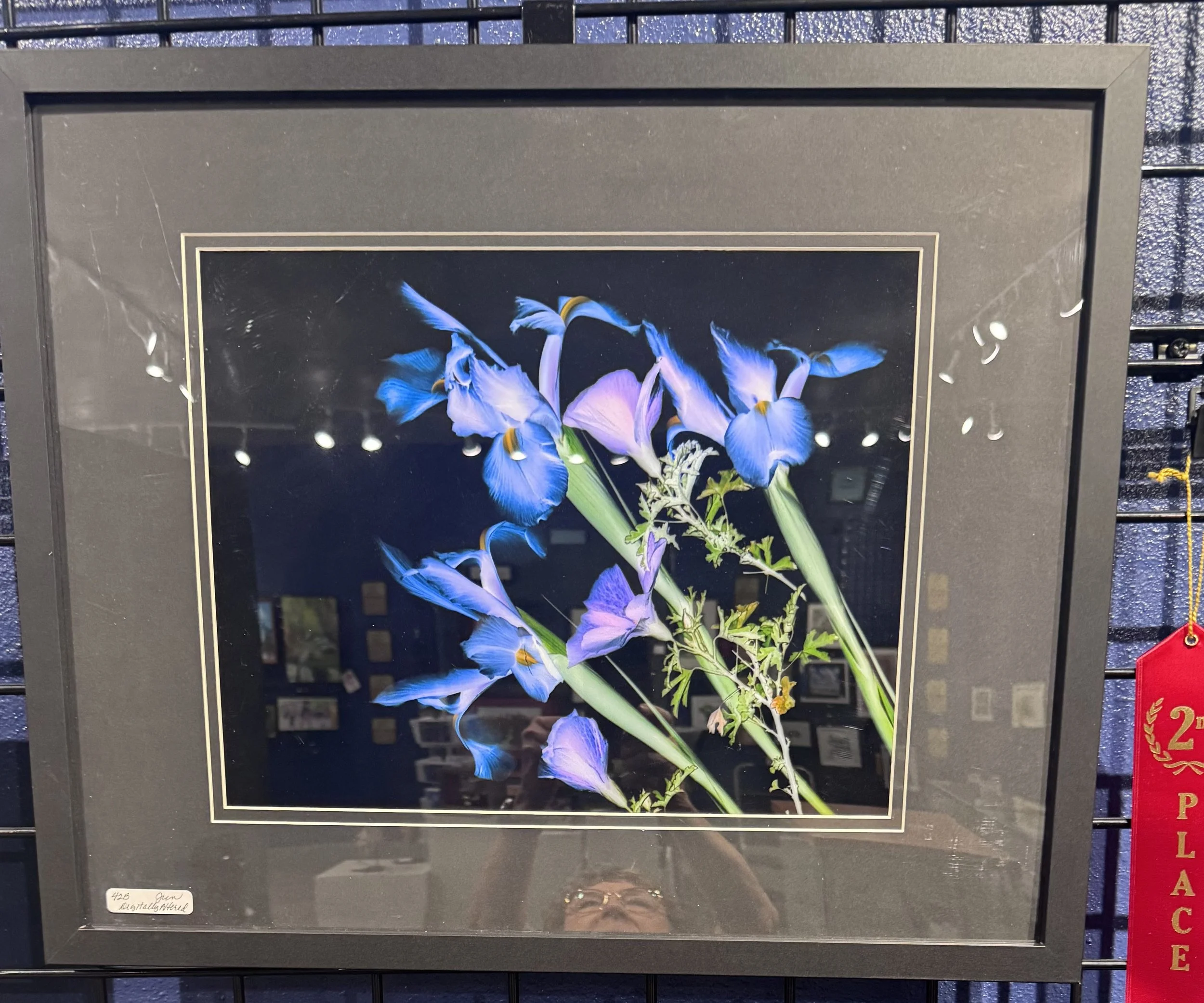 Framed photograph of a bouquet of blue and purple iris flowers with green leaves, displayed in a black frame with a white and gold border. The photo is mounted on a black display grid, with a red ribbon on the right side.