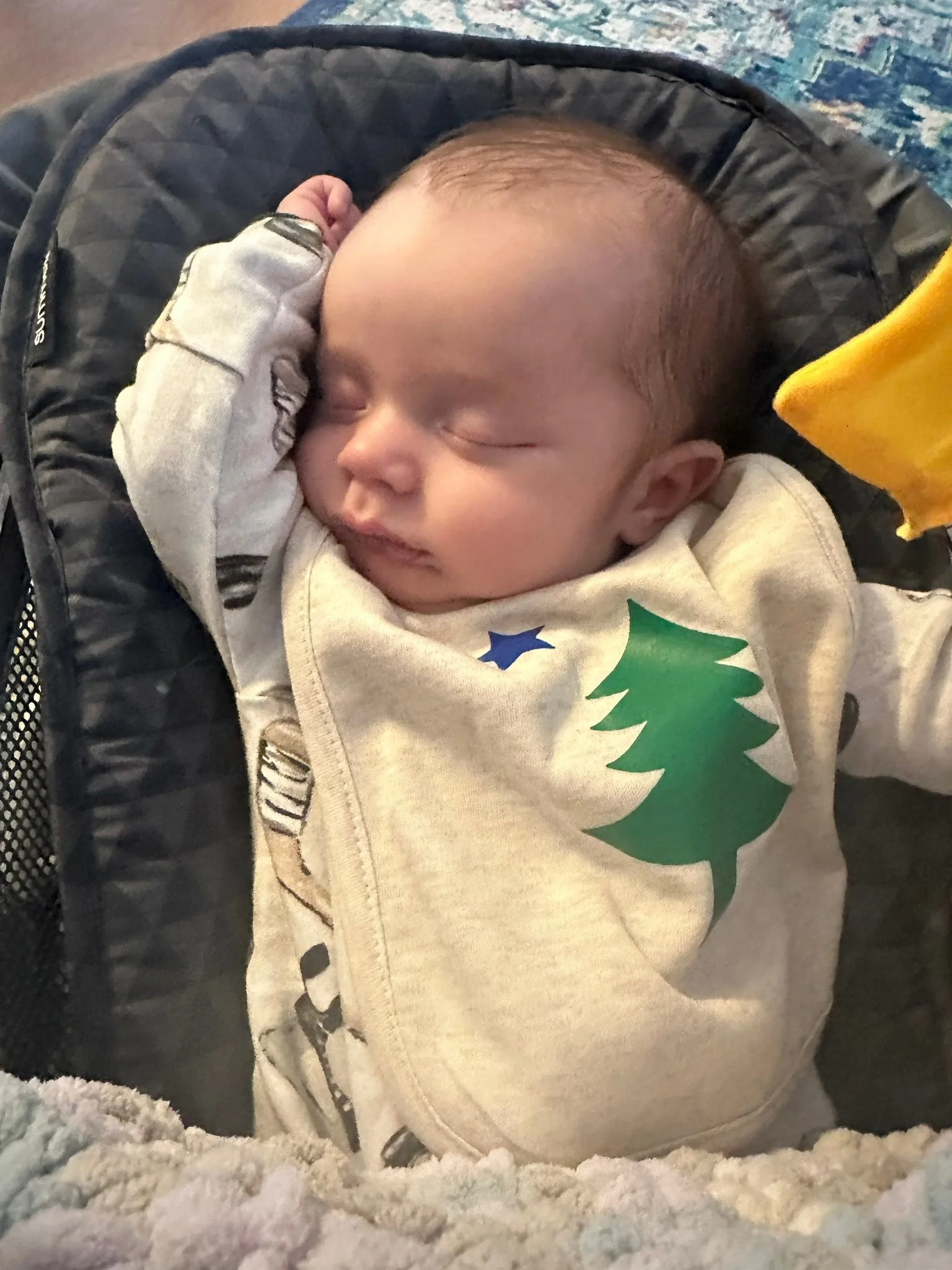 Apparently today is National Appreciate a Dragon Day - but we appreciate our baby dragon every day 🐉