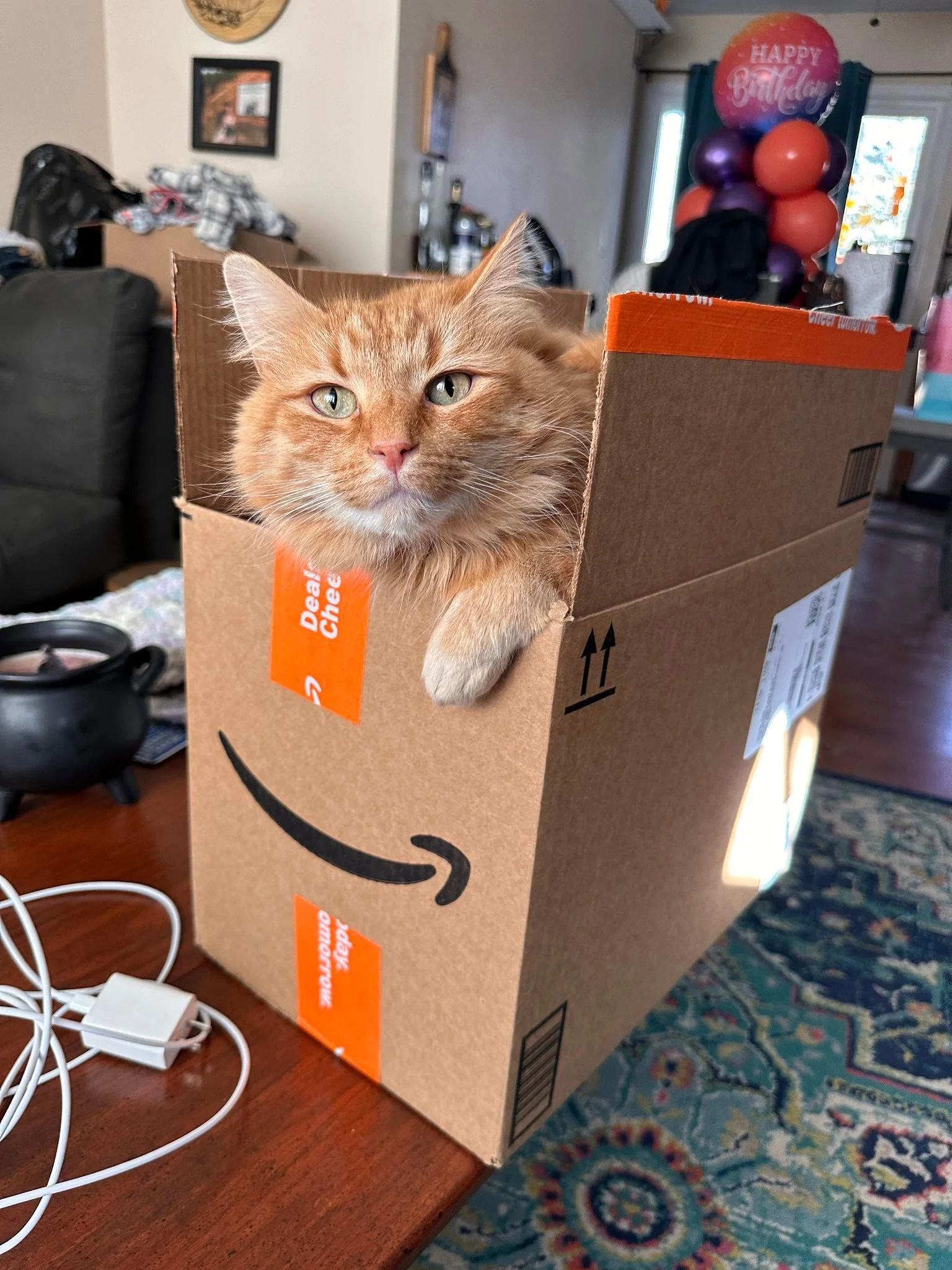 &ldquo;You&rsquo;re gonna hate your cats and dogs once the baby is born&rdquo;

Did you know this is something pregnant people are often told? And actually there are many new parents who grow resentful of their pets once their baby arrives?

I was ev