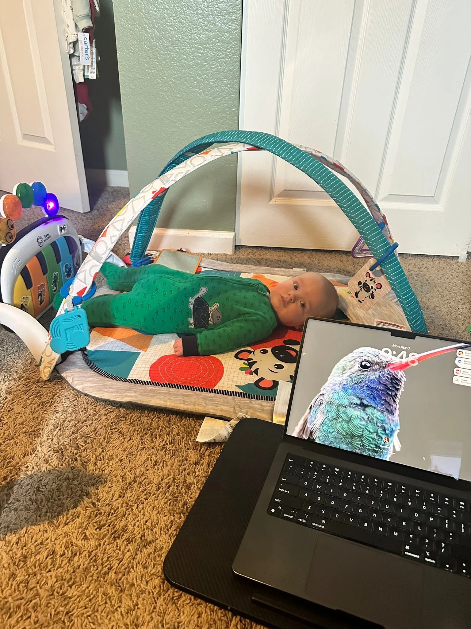 Work days with Ollie ❤️