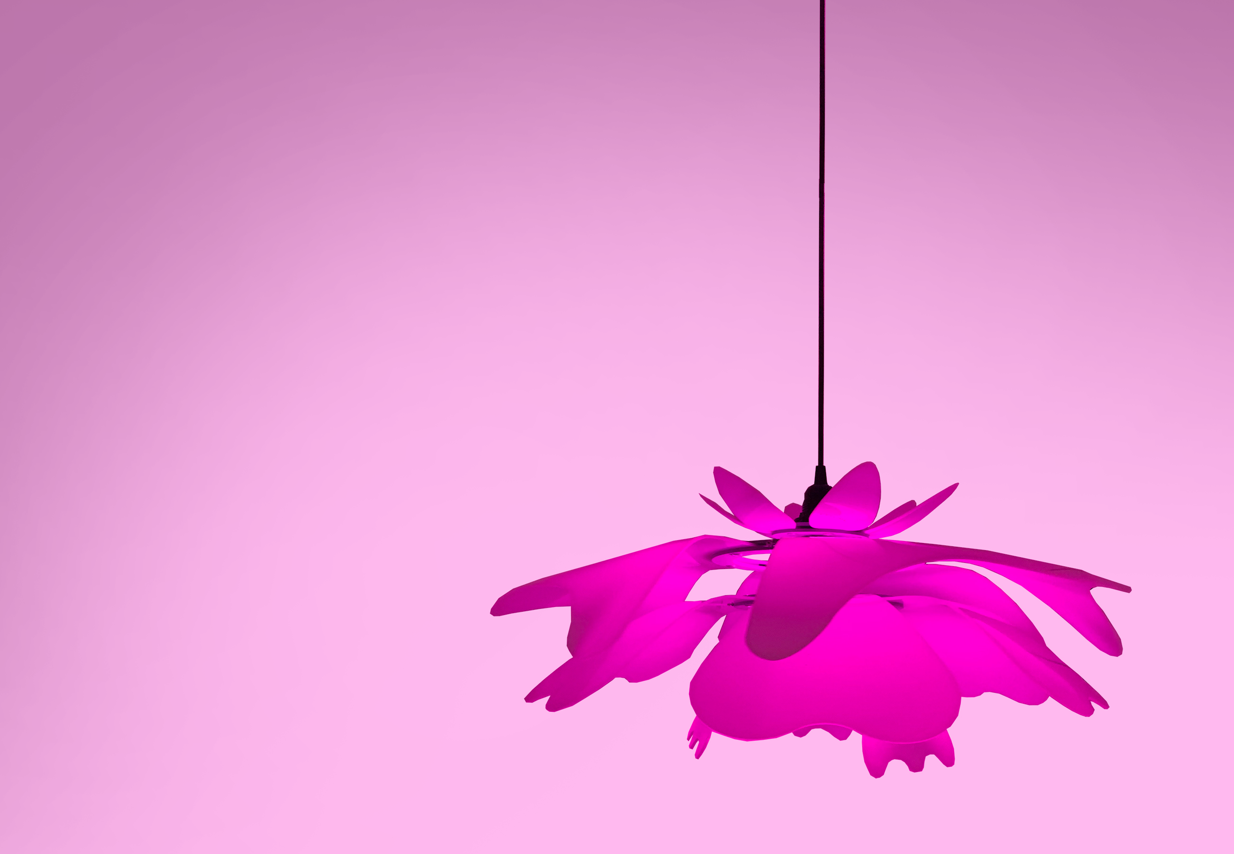 floralight_fuscia.png