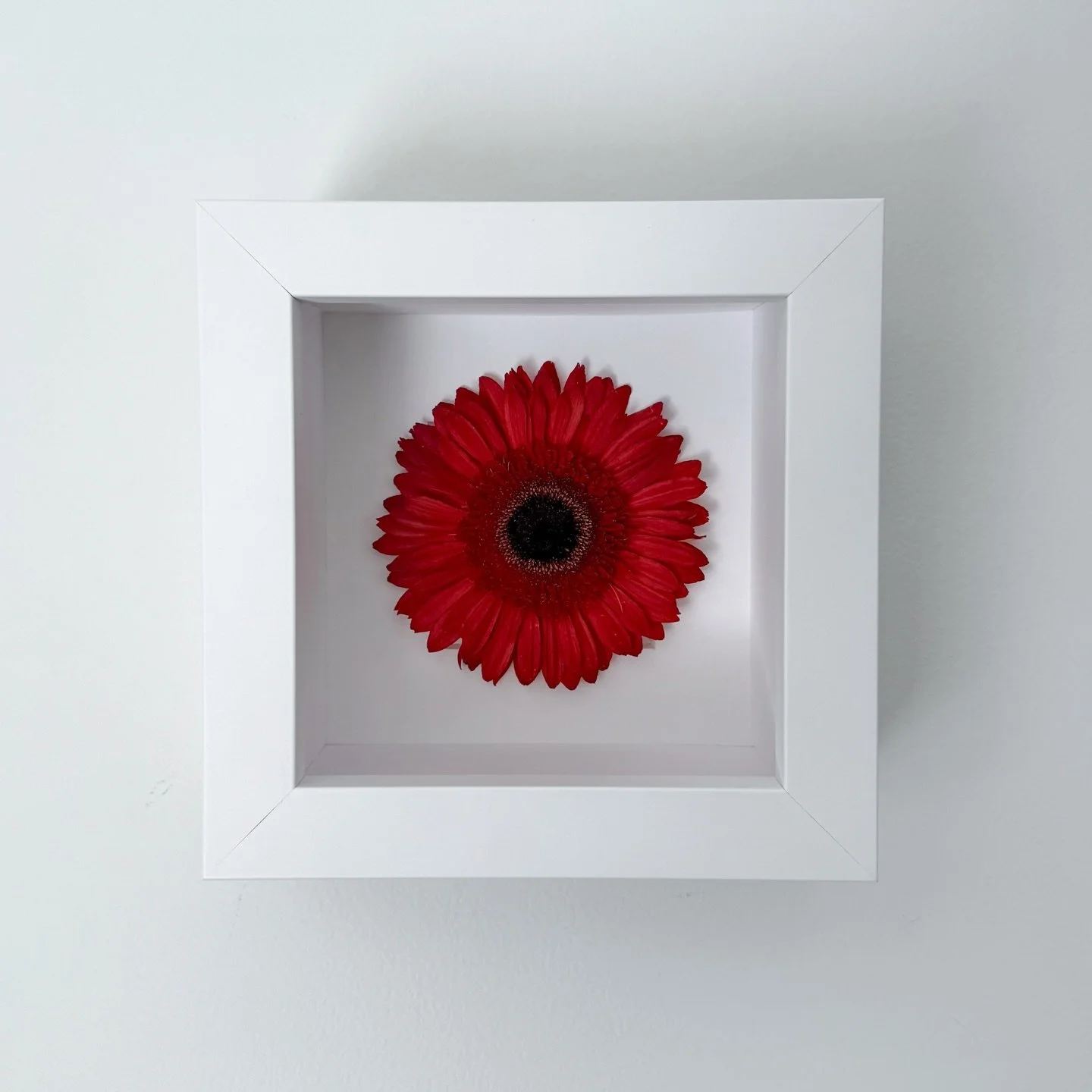 In loving memory 🧡
Sometimes the most delicate things are the ones that leave the deepest imprint on our hearts.

A flower blooms for only a moment, yet the memory it carries can last a lifetime.

Florpetalflorist.com 

Frame~ The Petite, Lux in whi