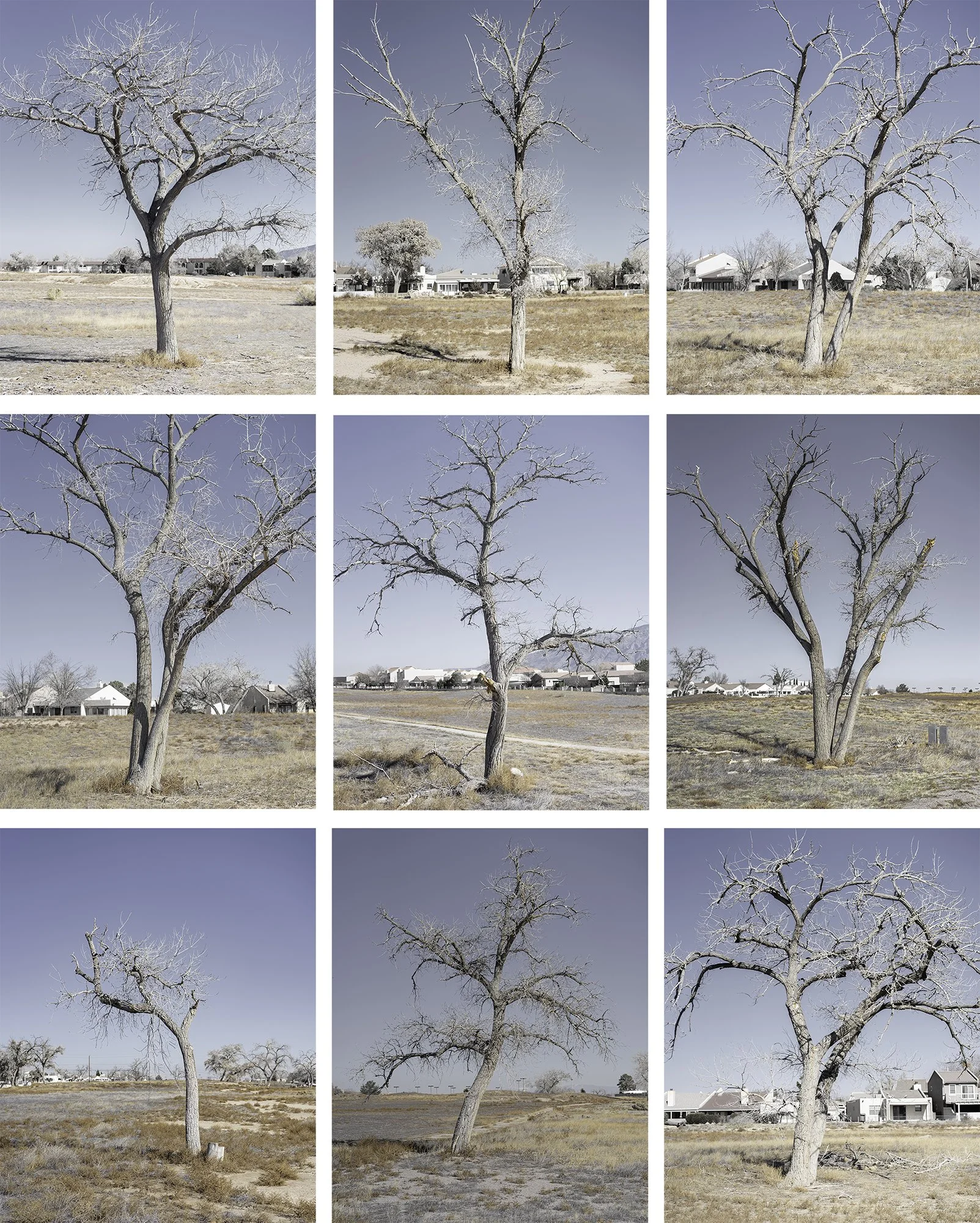 ASMod11_JensenA_1.1 copy.jpg