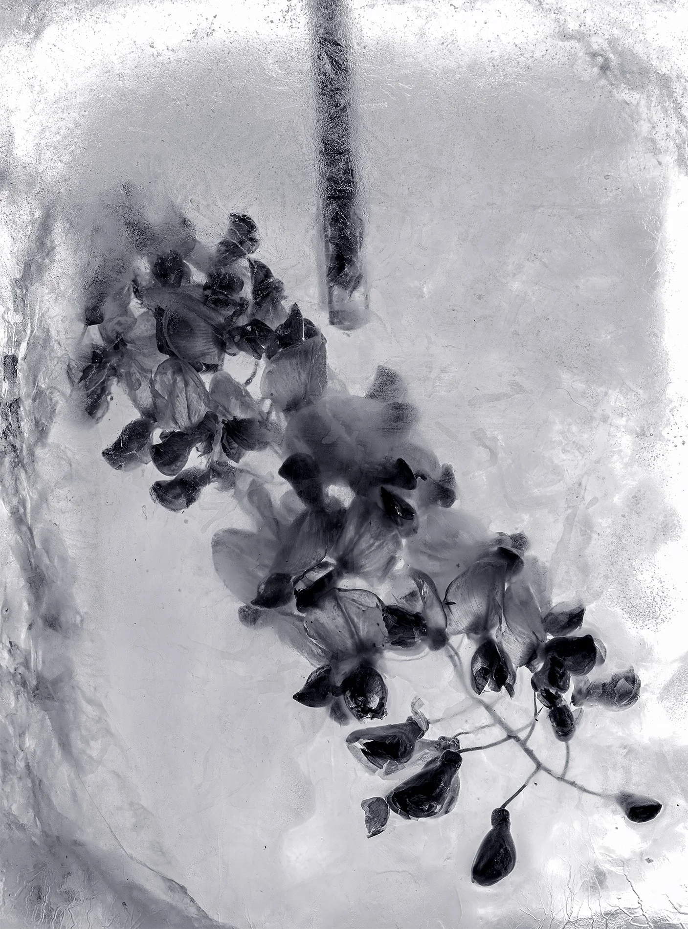 mod 10_flowerdrill copy.jpg