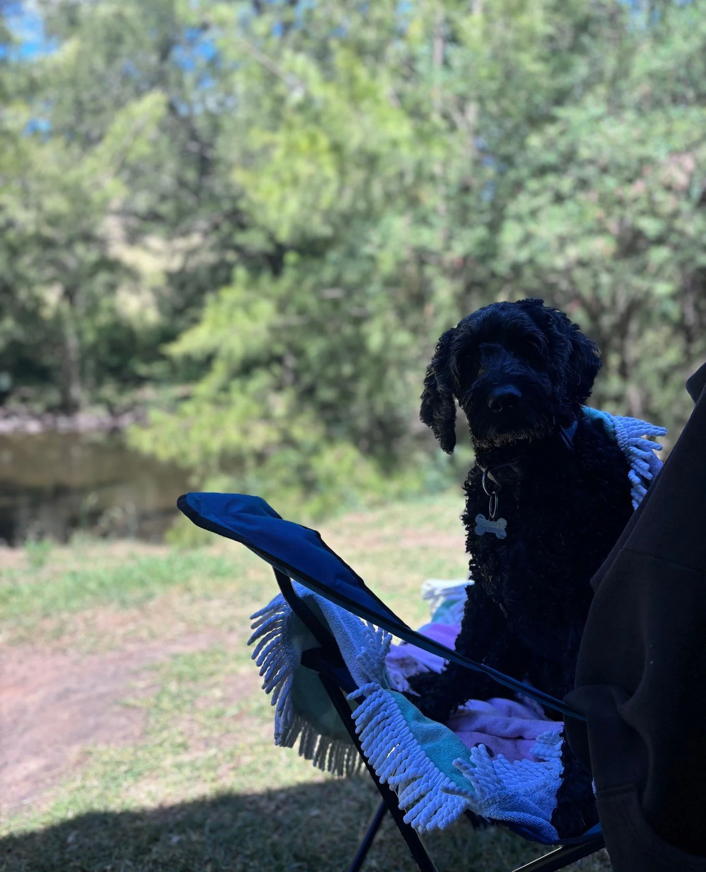 Heading in into this year, if I'm honest I'm feeling tired! ⁠
Yes I did have a lovely break, including some time camping (where I managed to read two books!) ⁠
⁠
This year I don't want to focus on pursuing or pushing like I might have done in previou