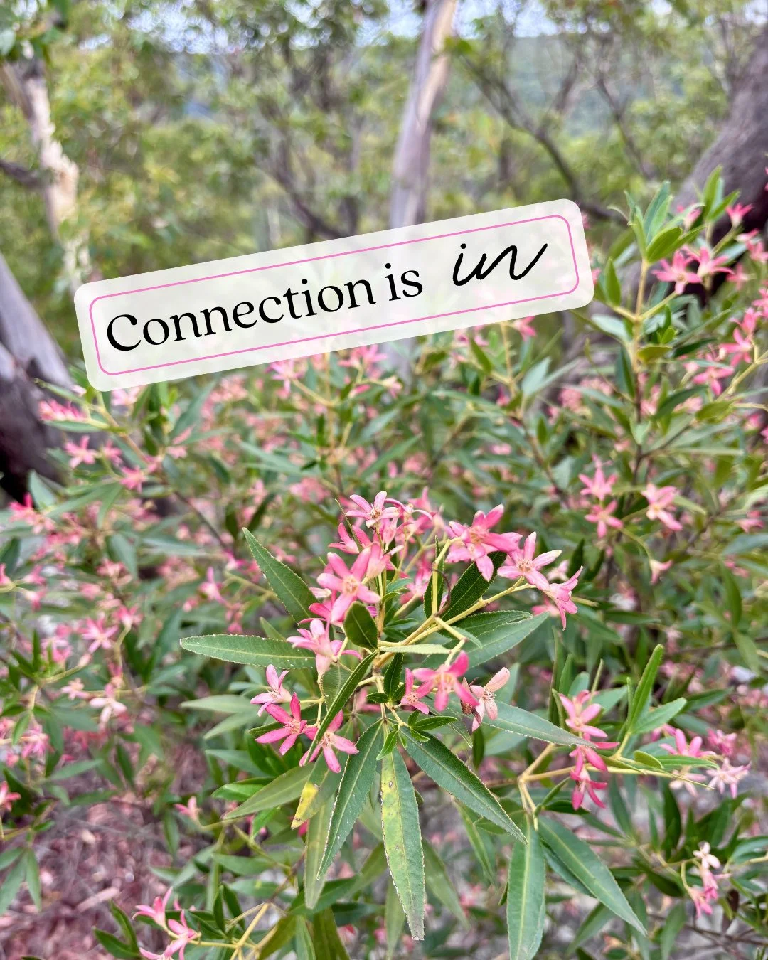 One of my 'ins' for this year is connection. ⁠
⁠
It's a way that I get my energy, feel inspired and where I think up new ideas. ⁠
⁠
If this is something you have been thinking about as you heading into the new year, how you can feel more inspired, mo