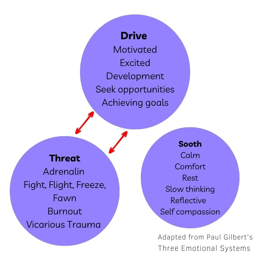 Soothing Sysystem A Tool For Supporting Our Wellbeing: Reclaiming Our Sooth System — Liz ...