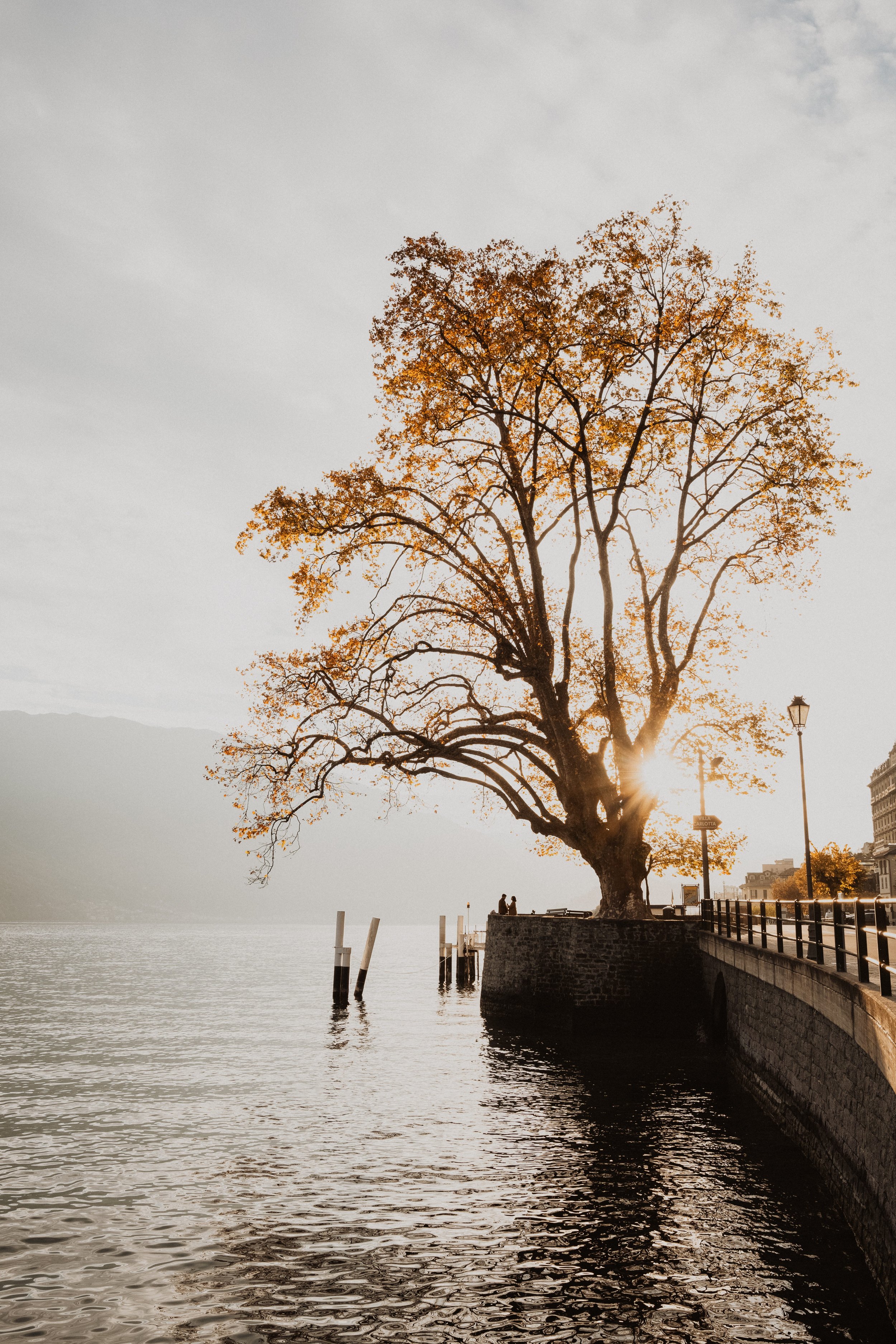 Autumn Wedding Portrait by Lake Como | Destination Wedding Photography in Italy