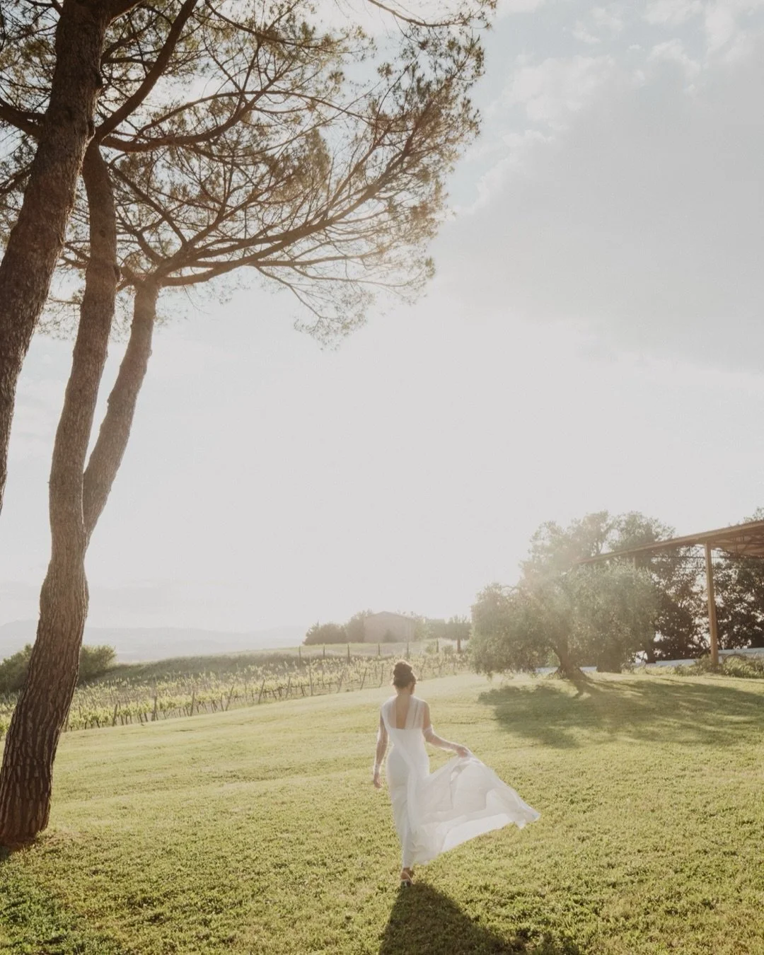 A table for two beneath the Tuscan pines &bull;

Olive trees all around. A lake glowing quietly in the distance. Late spring light falling slower than anywhere else in the world.

How Italian is that?

Roger &amp; Natalie chose to return to the place