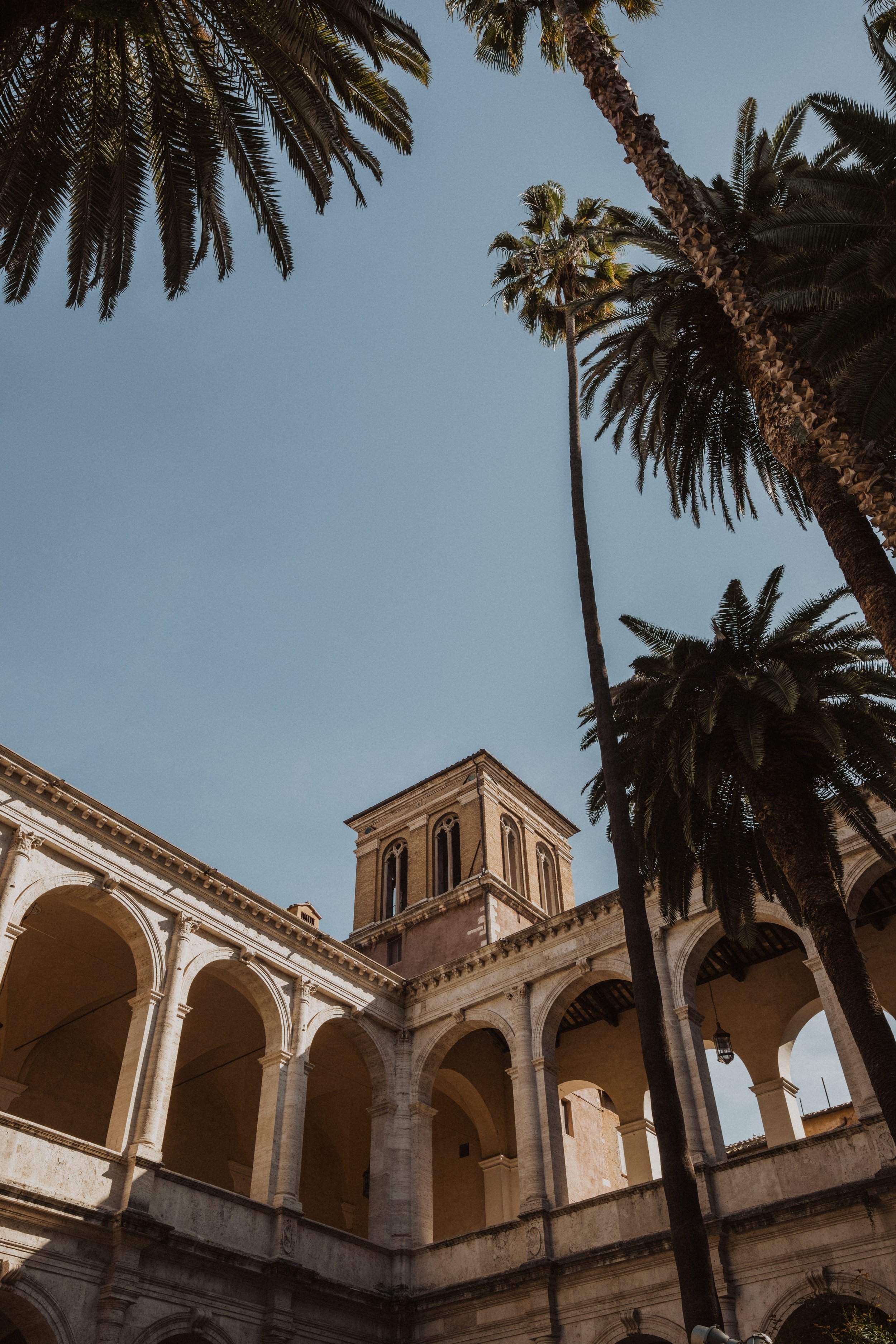 Palm Trees and Historic Architecture in Rome | Elegant Wedding Photography