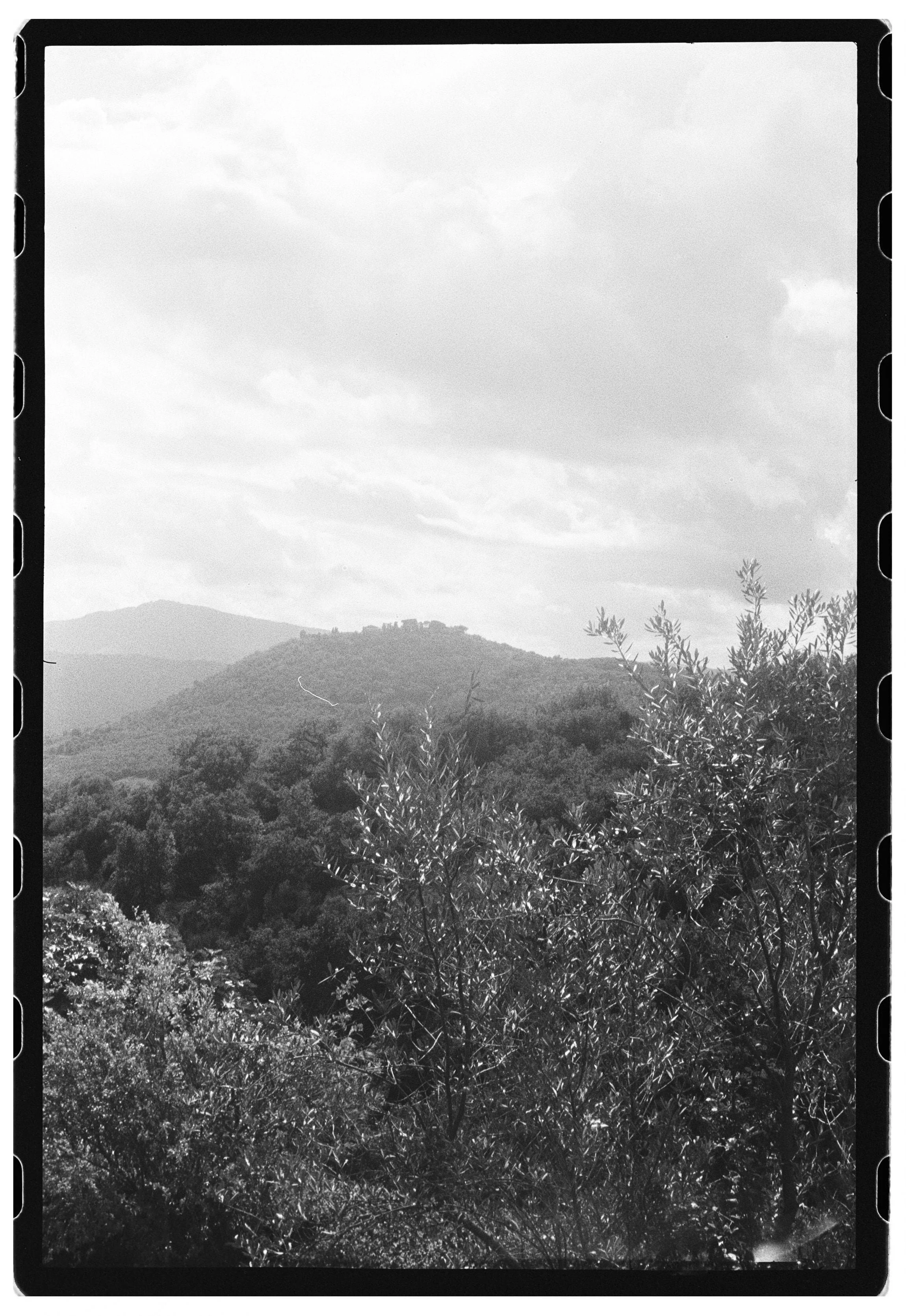A quiet landscape view in Umbria, capturing the natural atmosphere and understated beauty of an authentic Italian destination wedding setting.
