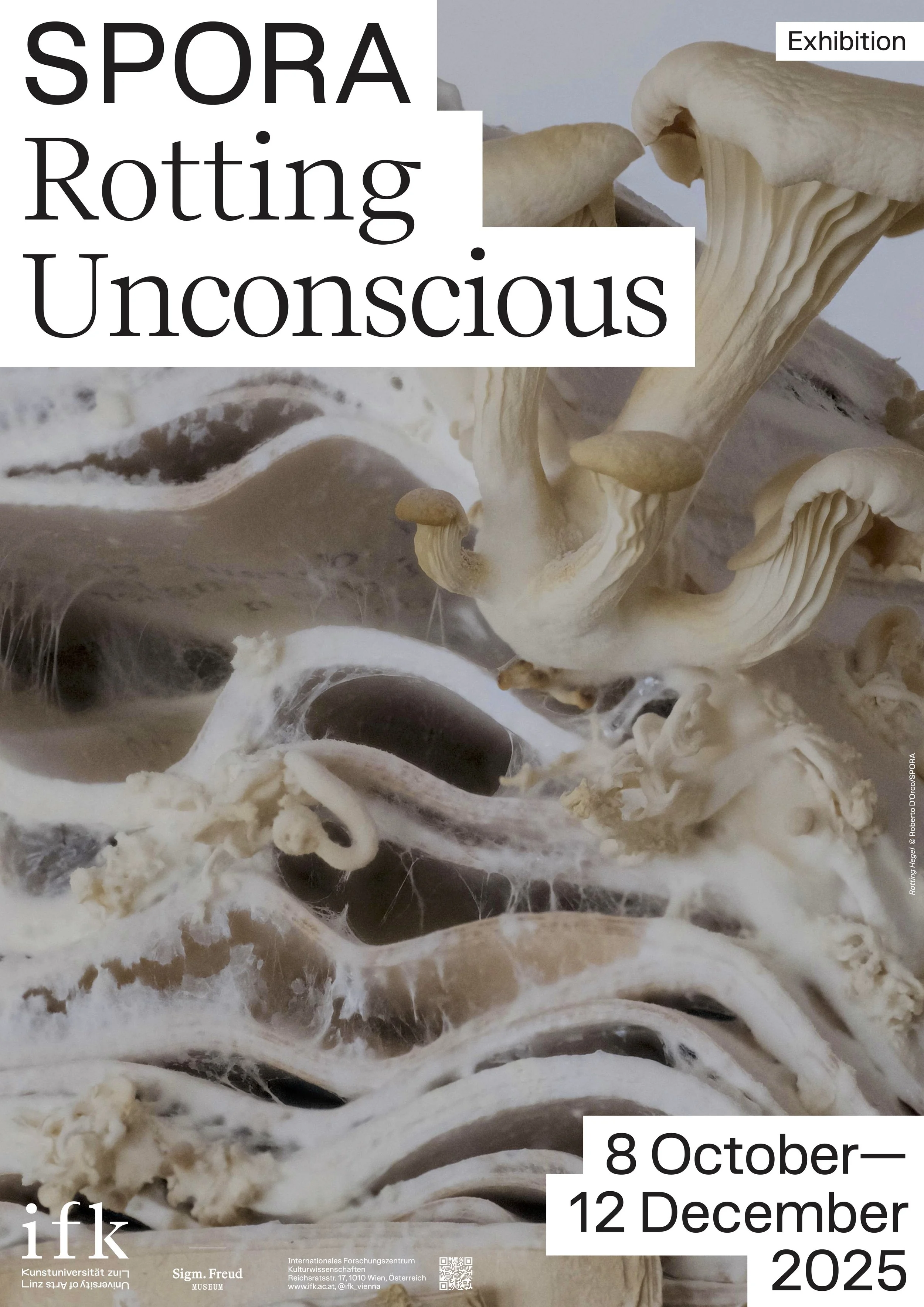 SPORA: Rotting Unconscious