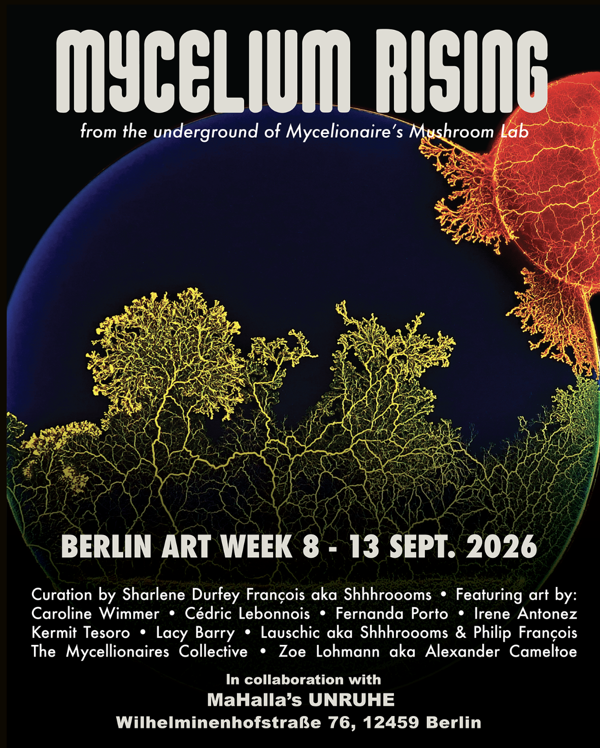 Mycelium Rising — Exhibition at Berlin Art Week 2026
