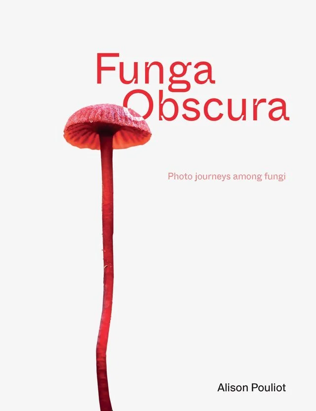 Funga Obscura. Photo journeys among fungi