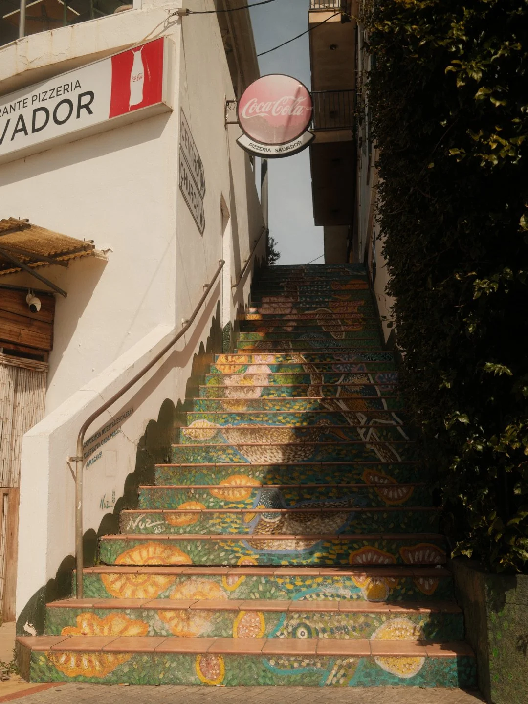 DSCF9224.jpg