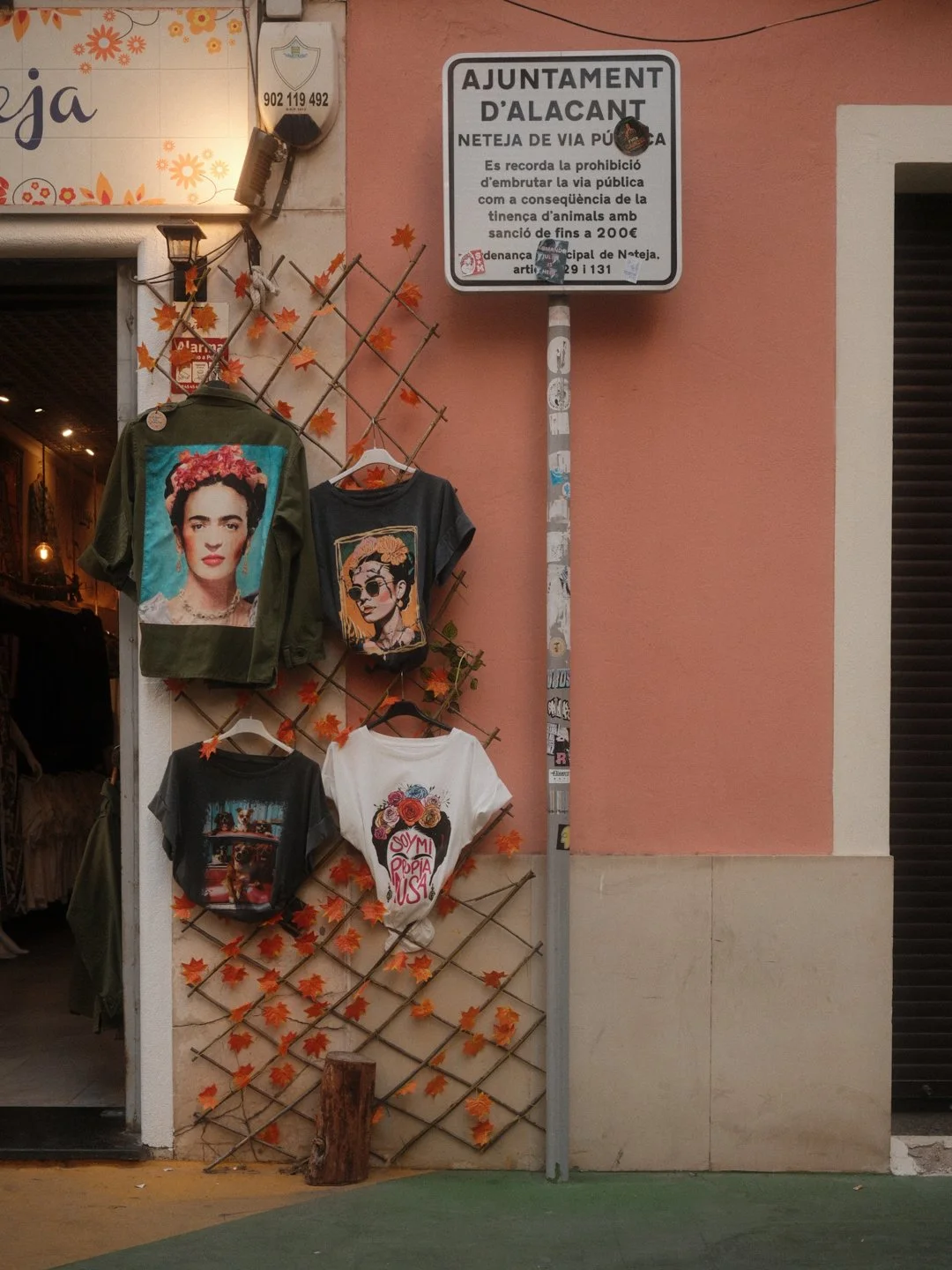 DSCF2478-2.jpg