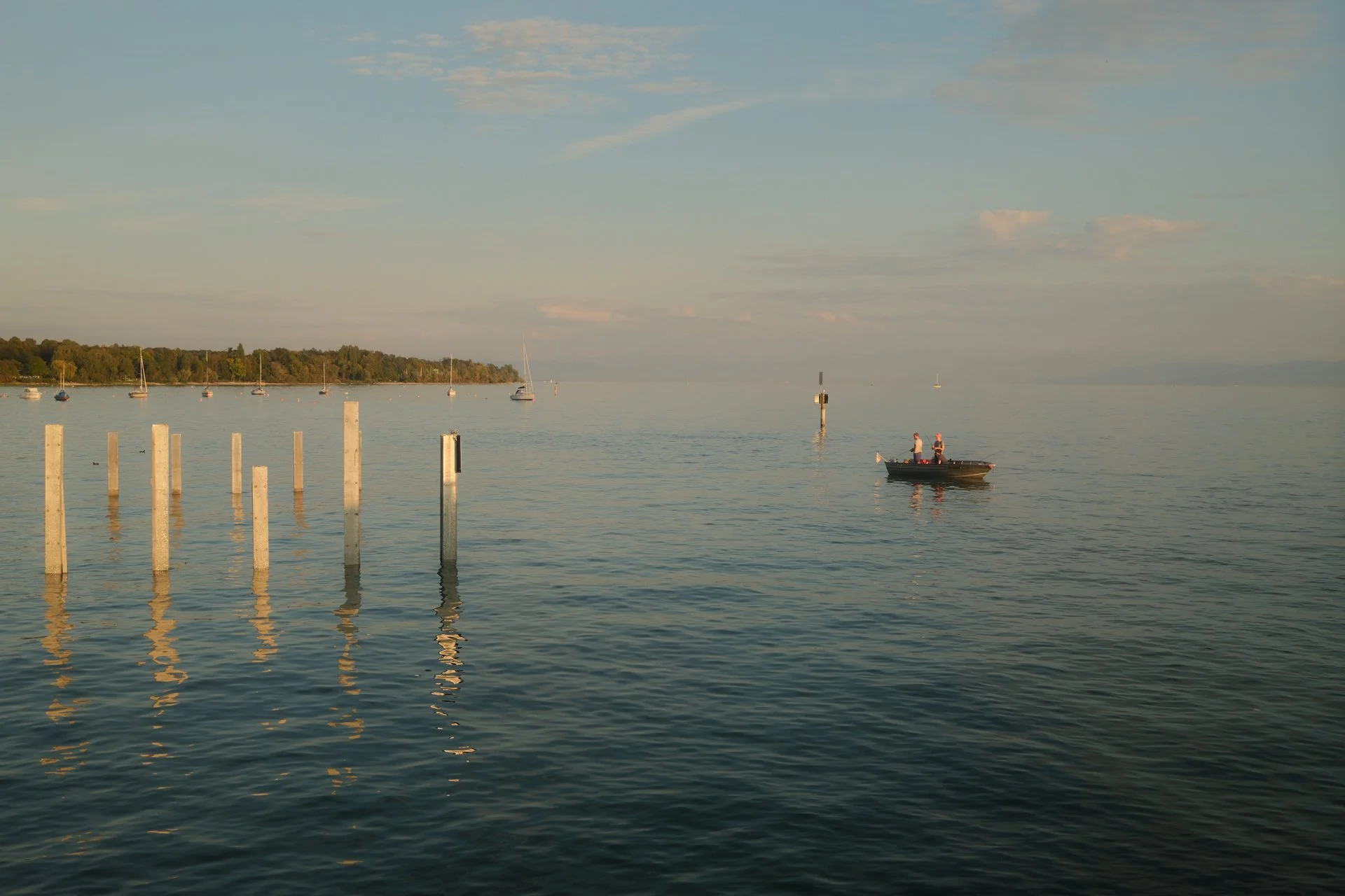 DSCF2264.jpg